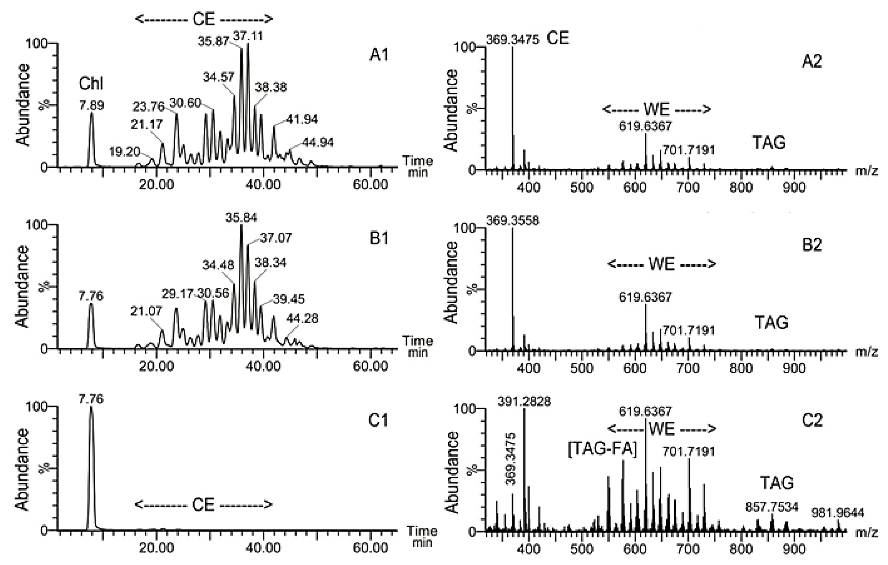 Ijms 22 01583 g003 Ijms 22 01583 g003
