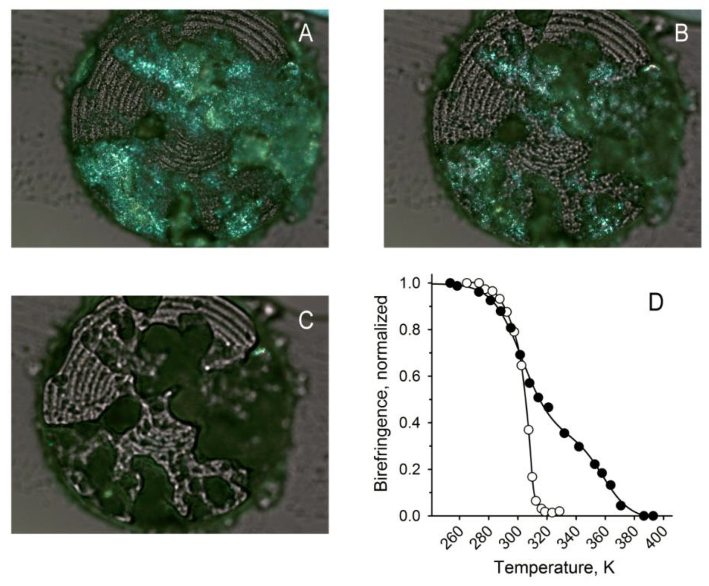 Ijms 22 01583 g008 Ijms 22 01583 g008