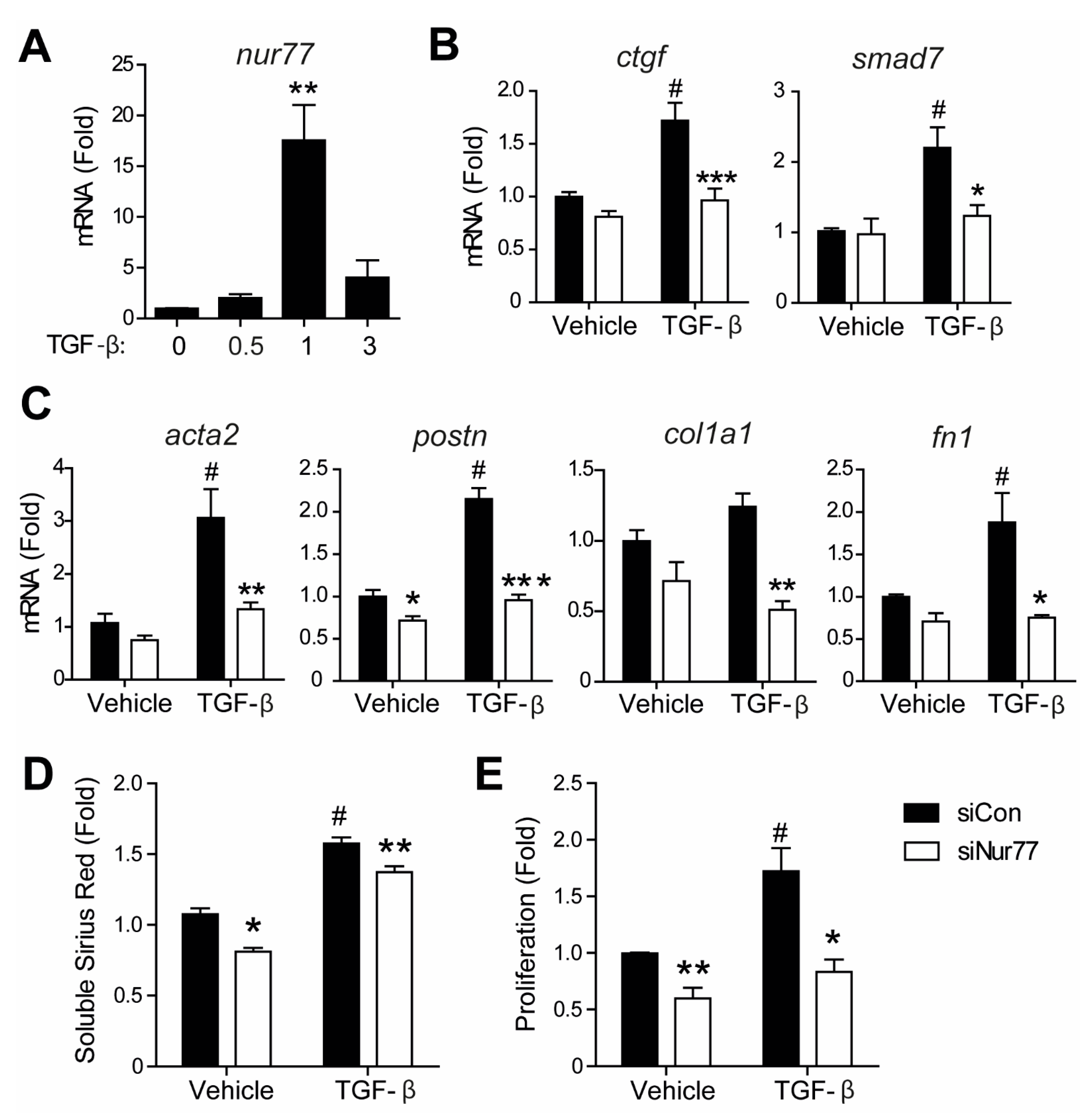 Ijms 22 01600 g006 Ijms 22 01600 g006