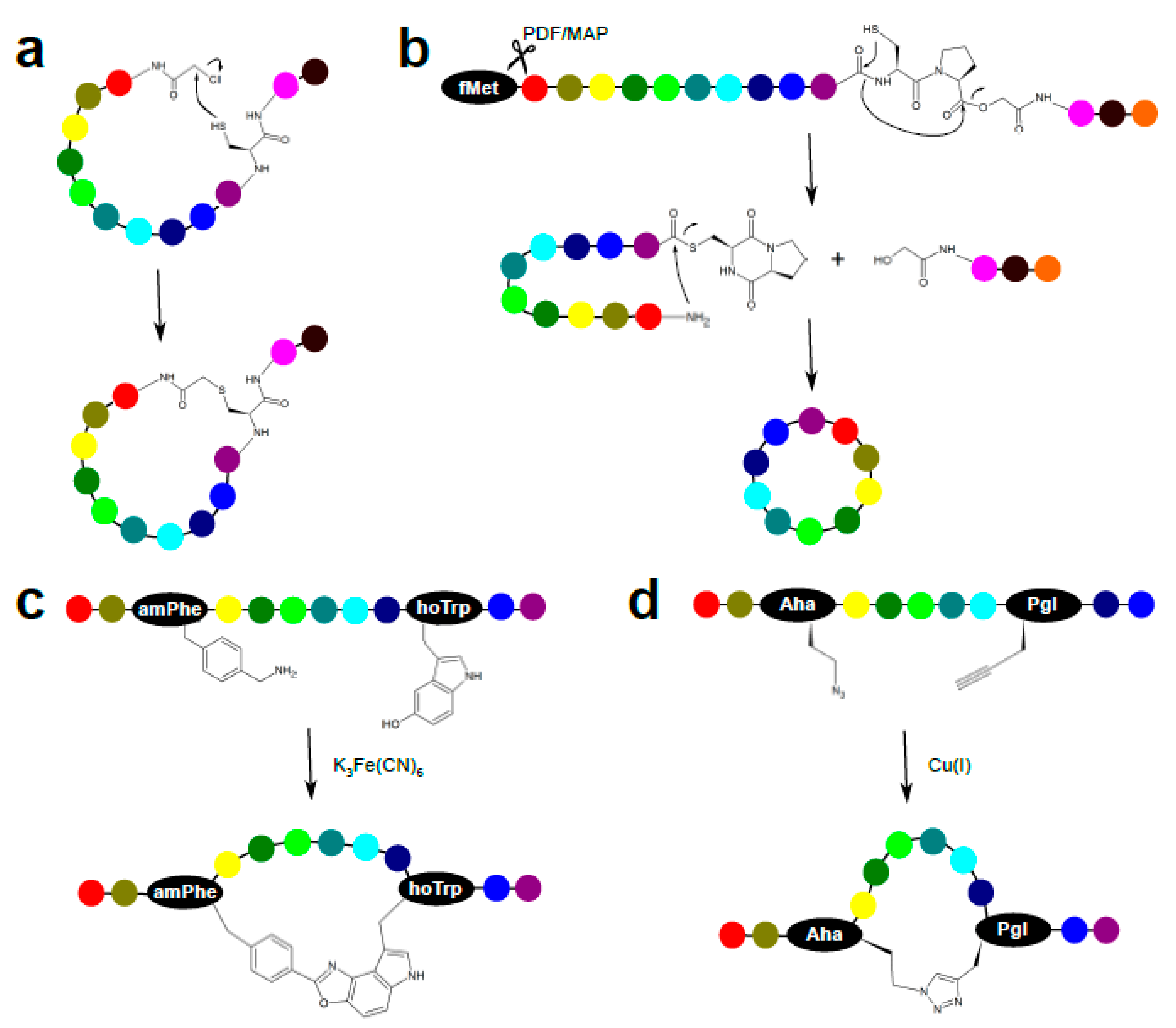 Ijms 22 01611 g011 Ijms 22 01611 g011