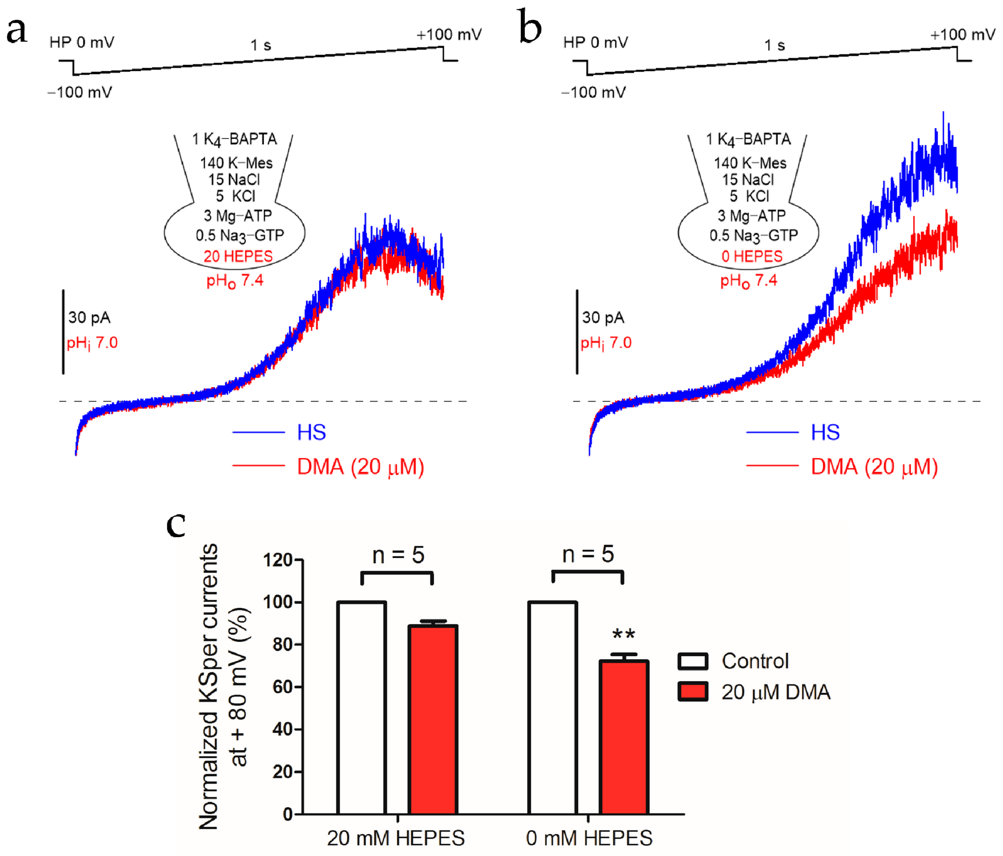 Ijms 22 01612 g001 Ijms 22 01612 g001