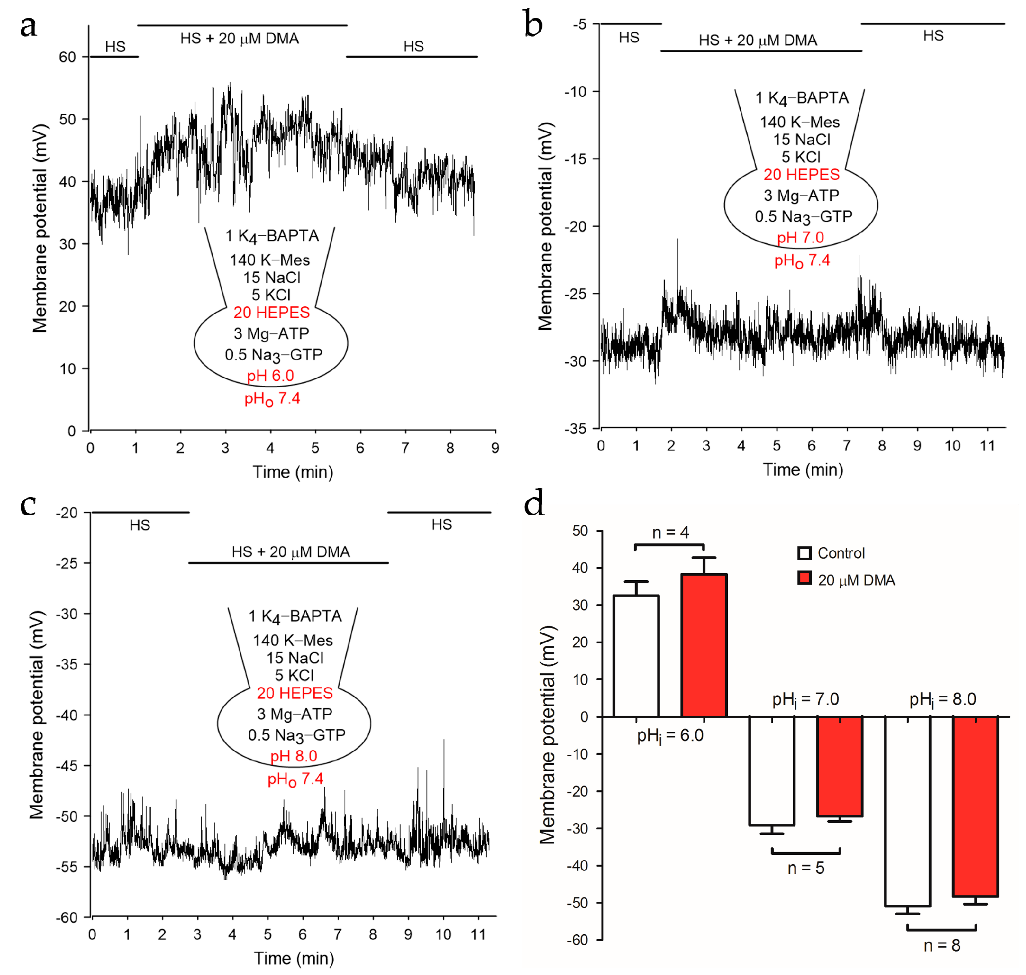 Ijms 22 01612 g002 Ijms 22 01612 g002
