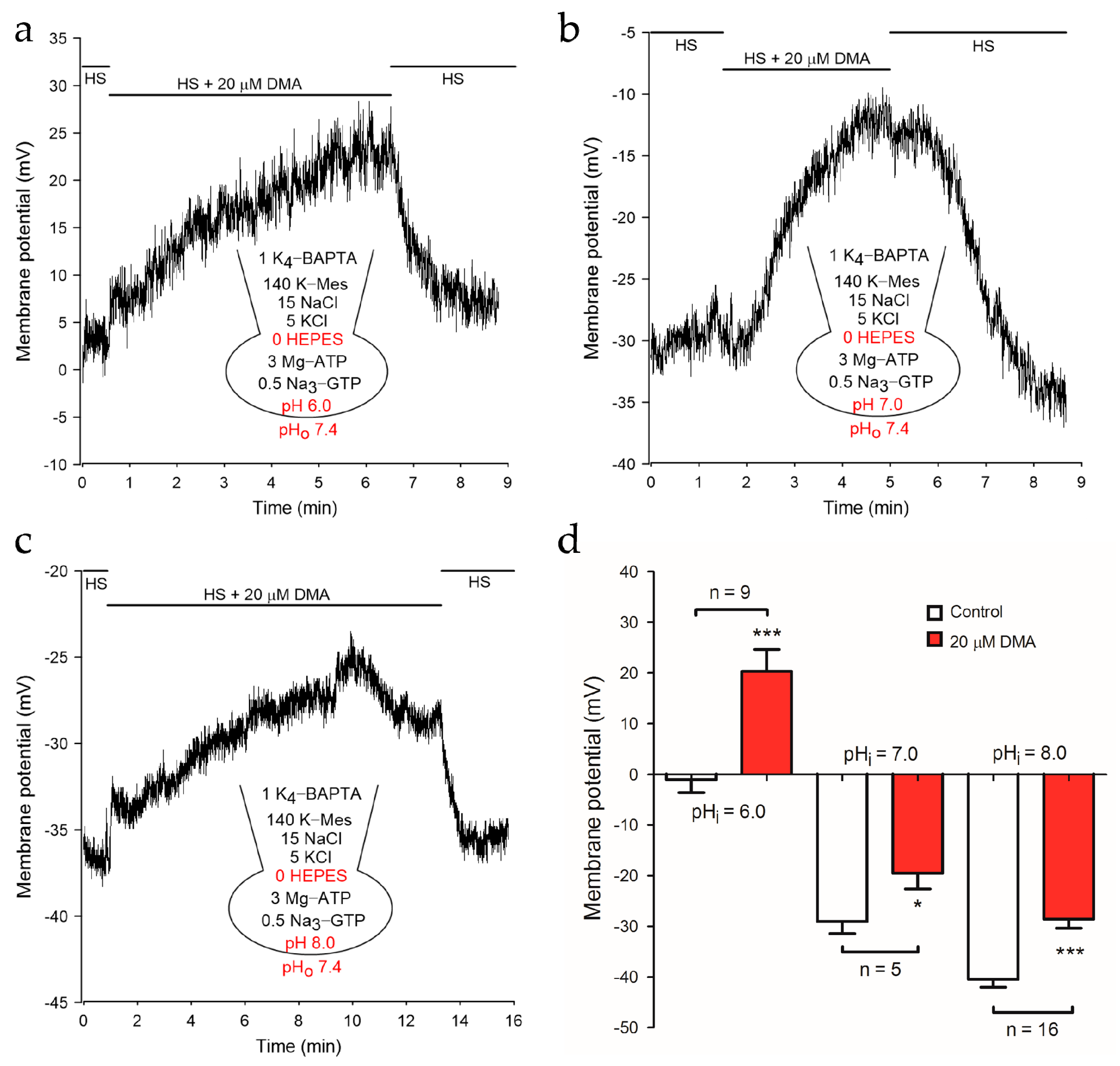 Ijms 22 01612 g003 Ijms 22 01612 g003