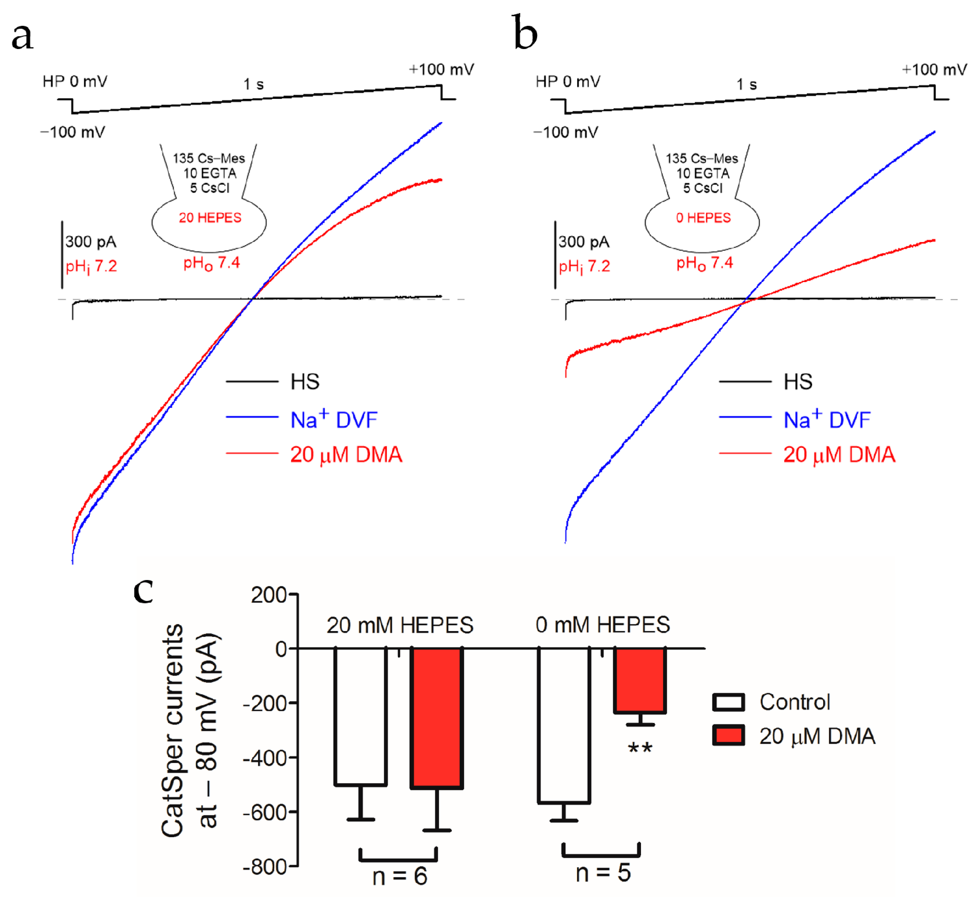 Ijms 22 01612 g004 Ijms 22 01612 g004