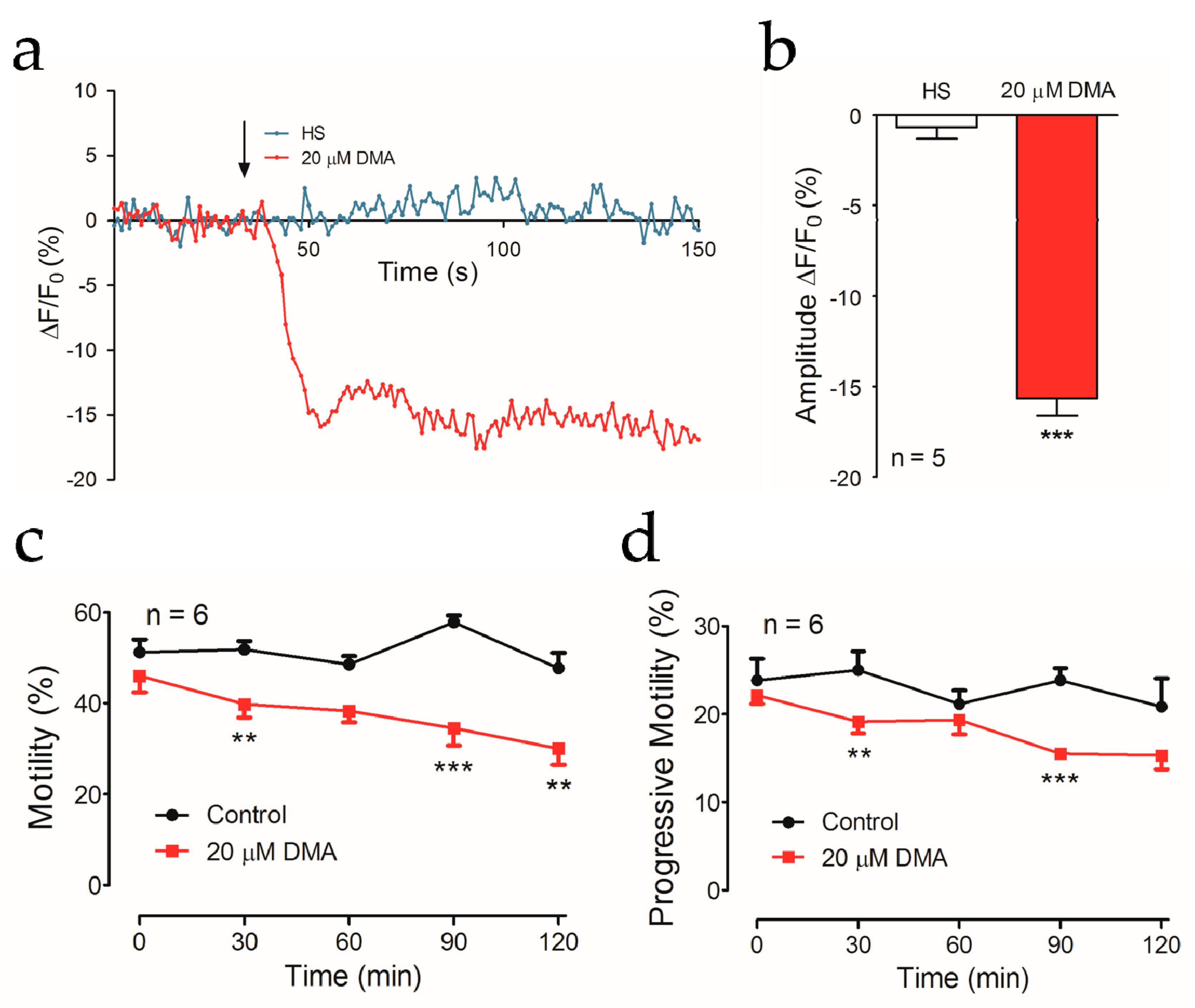 Ijms 22 01612 g005 Ijms 22 01612 g005