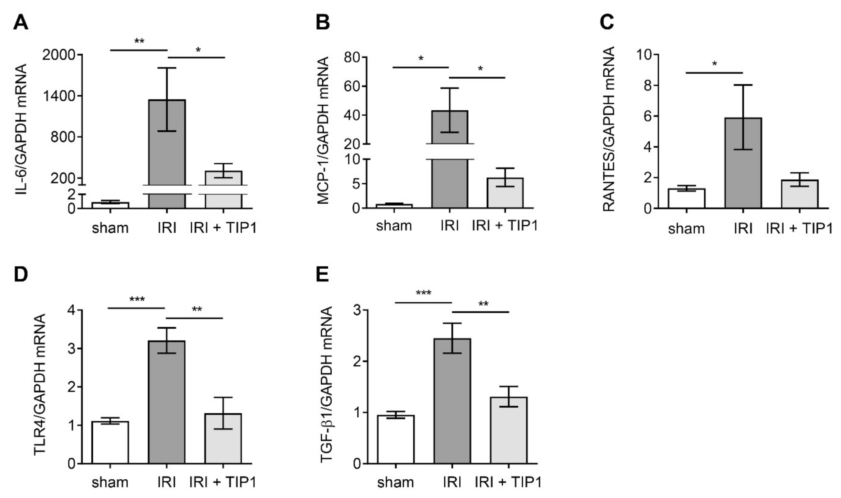 Ijms 22 01627 g004 Ijms 22 01627 g004