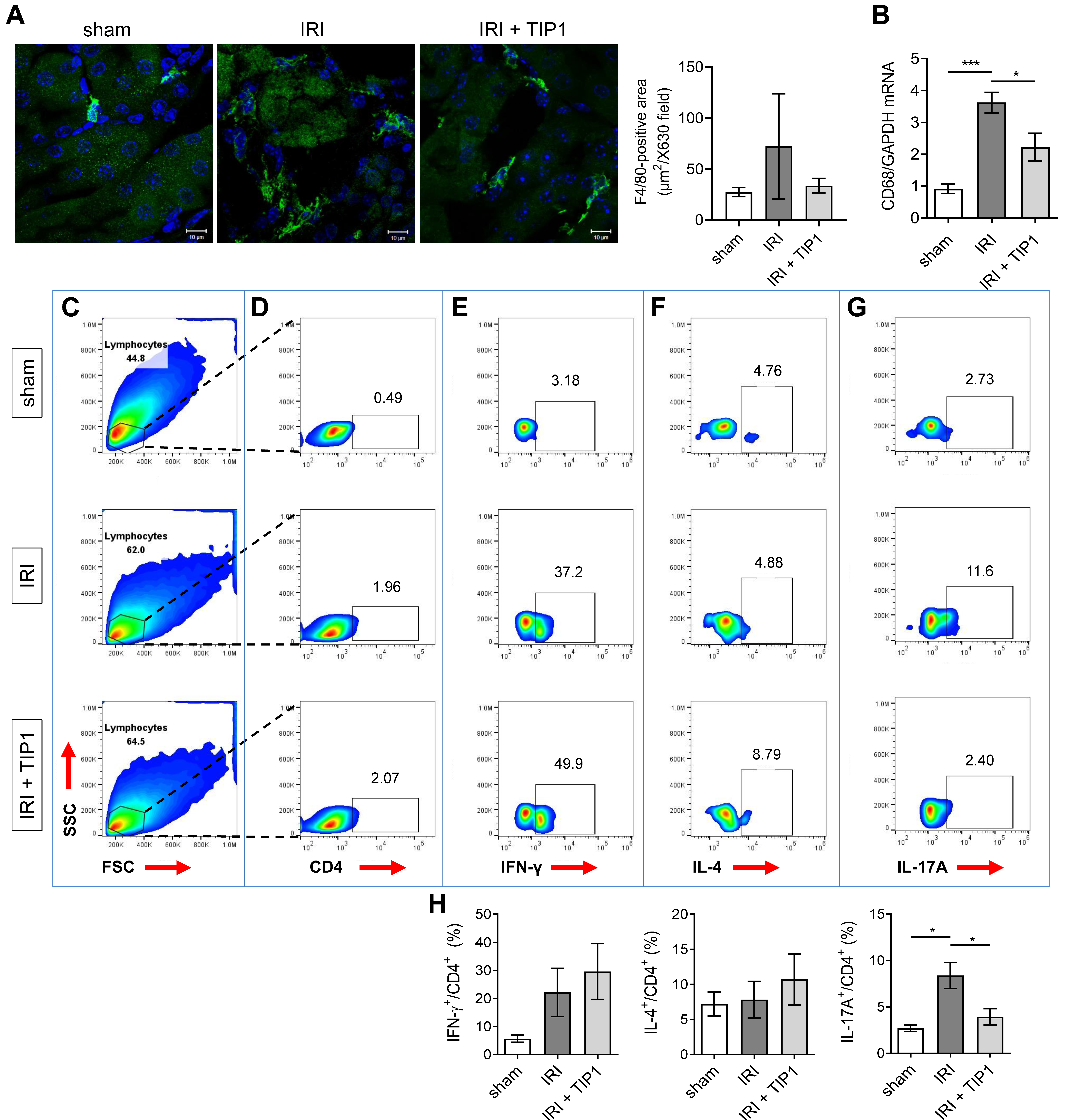 Ijms 22 01627 g005 Ijms 22 01627 g005