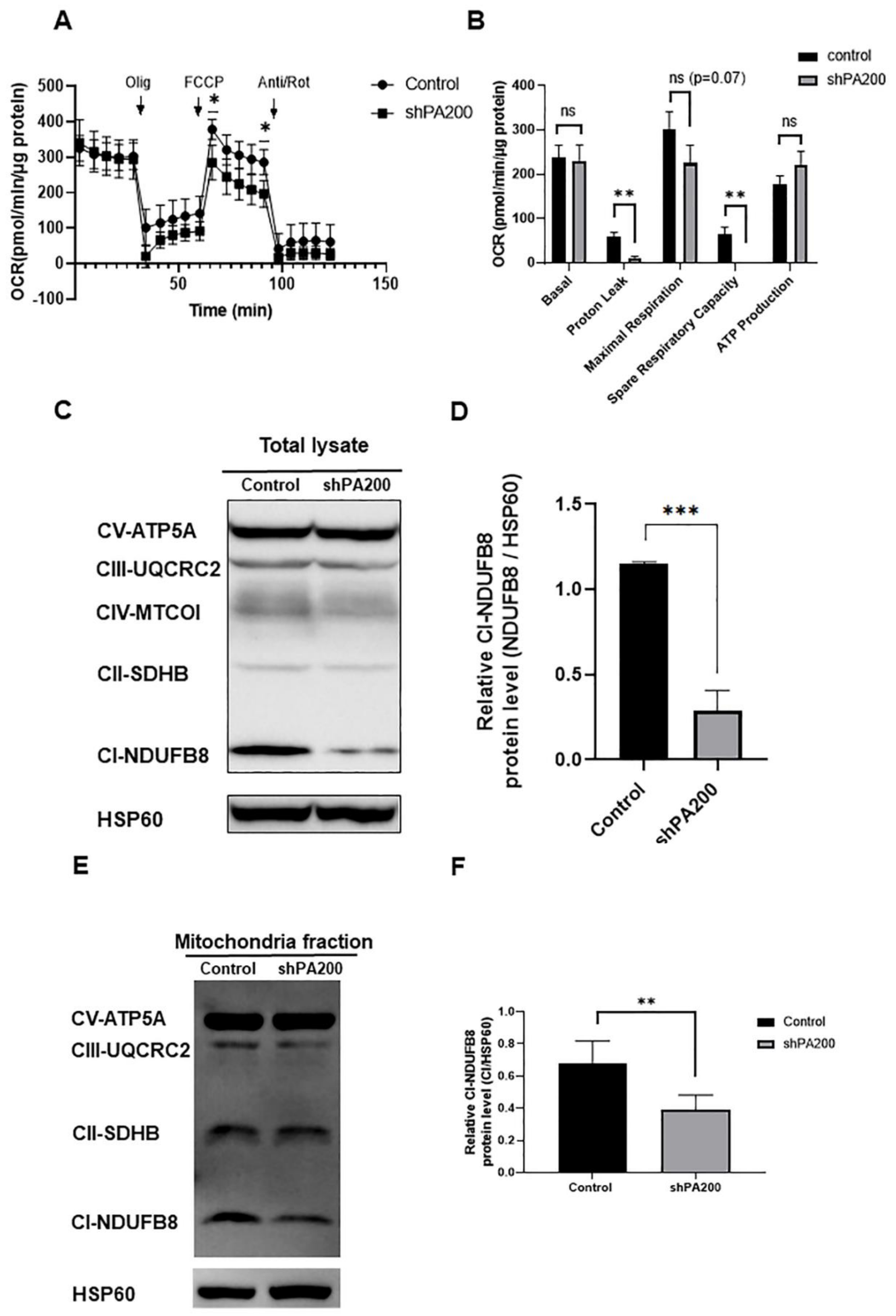Ijms 22 01629 g003 Ijms 22 01629 g003