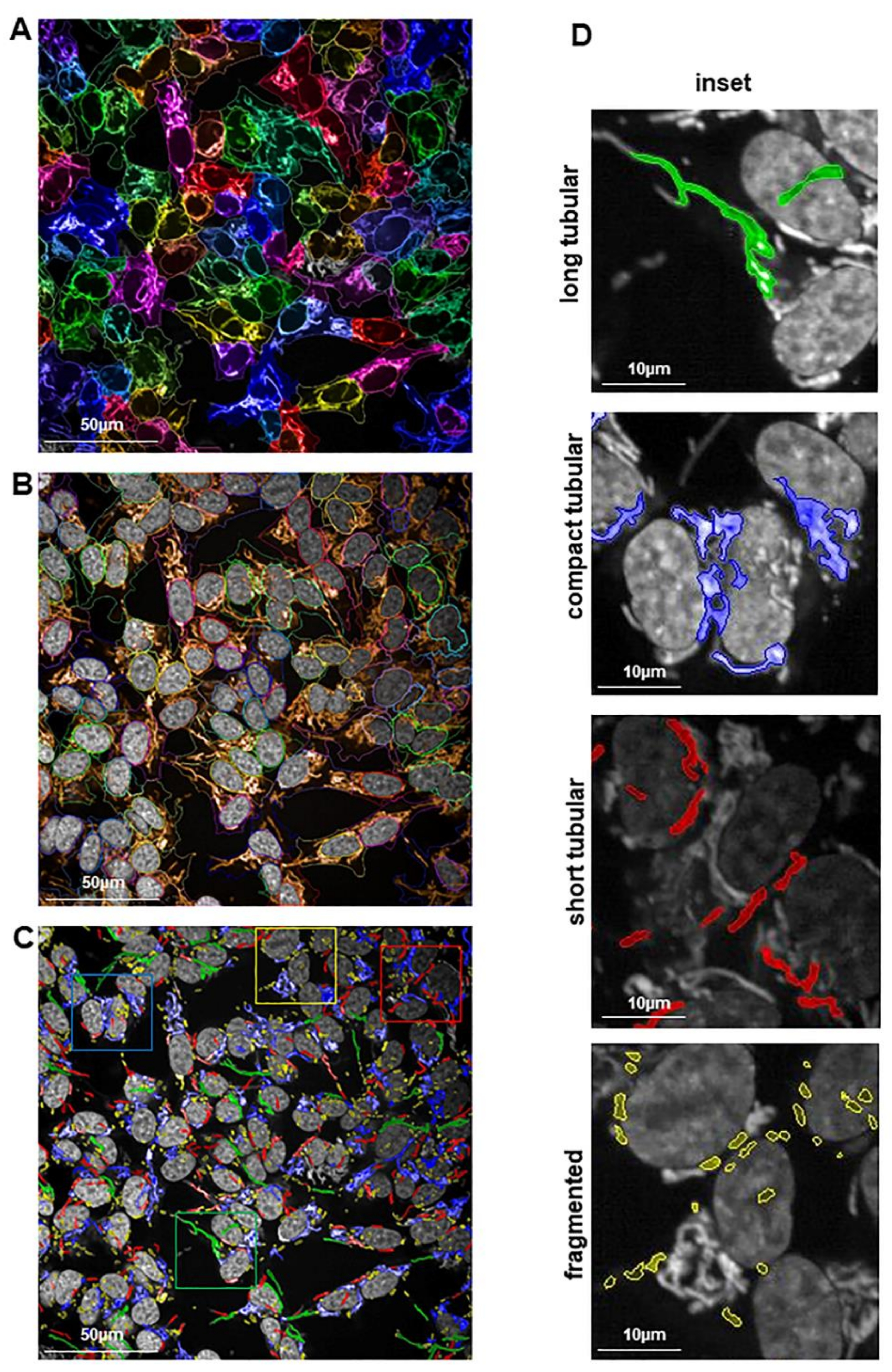 Ijms 22 01629 g005 Ijms 22 01629 g005