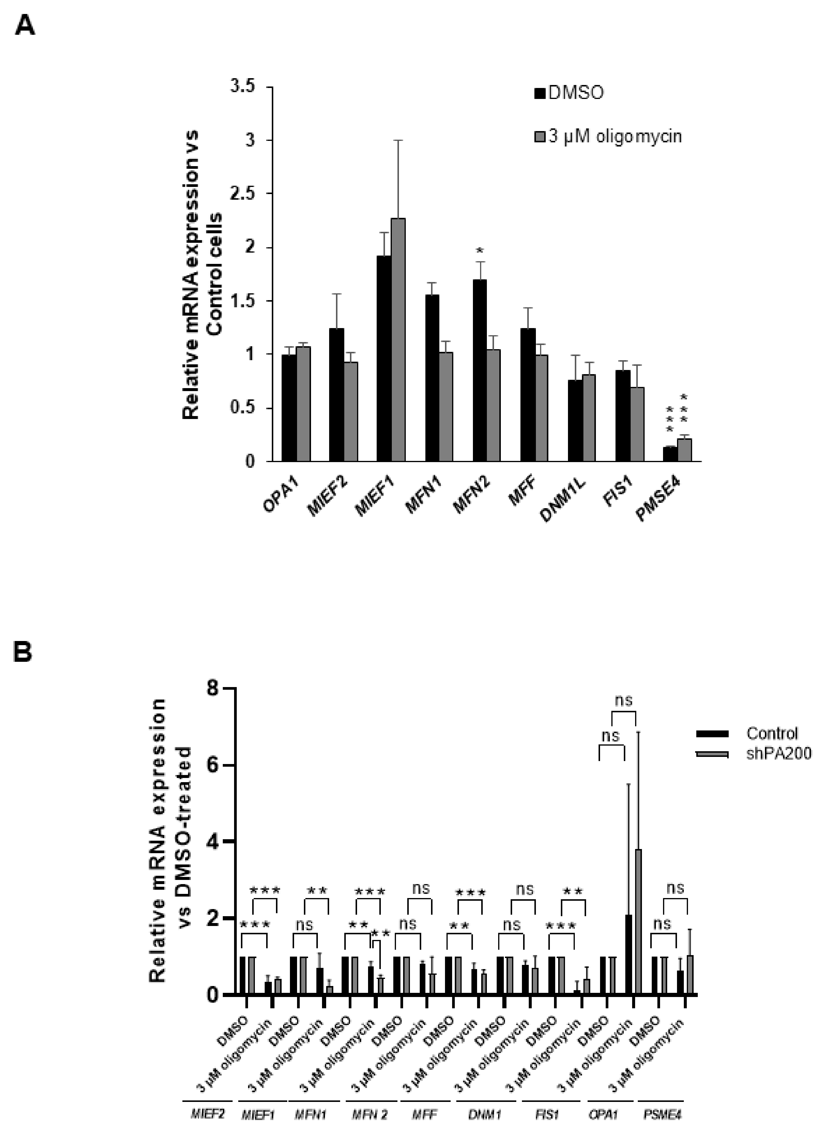 Ijms 22 01629 g007 Ijms 22 01629 g007