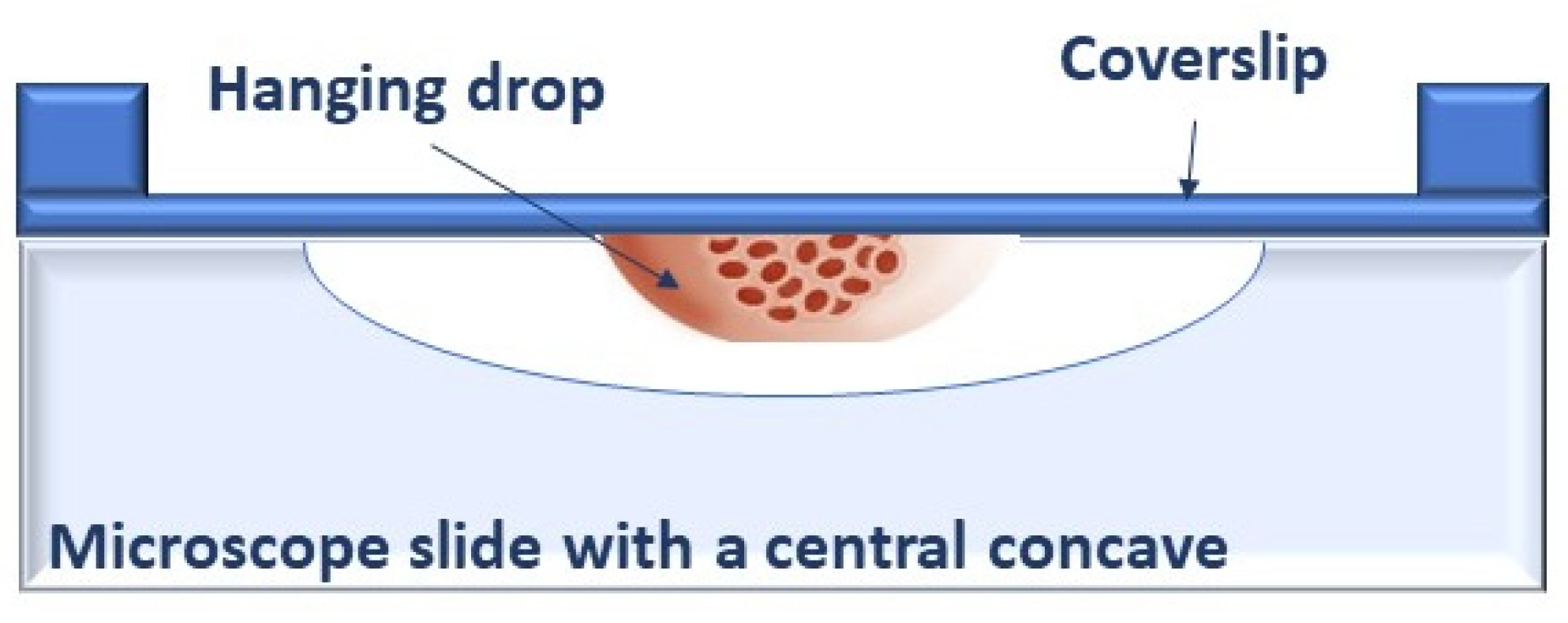 Ijms 22 01633 g001 Ijms 22 01633 g001