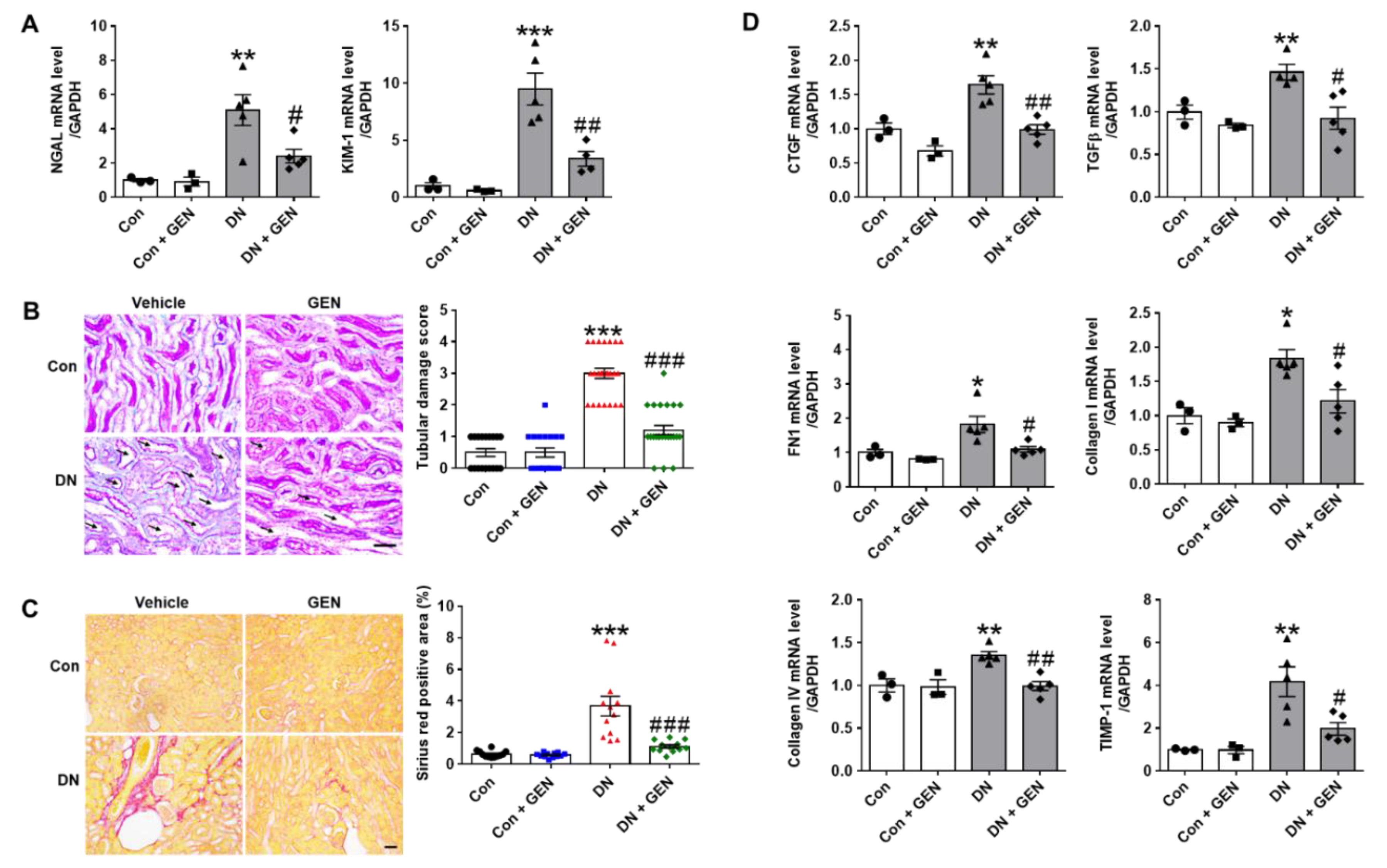 Ijms 22 01651 g002 Ijms 22 01651 g002