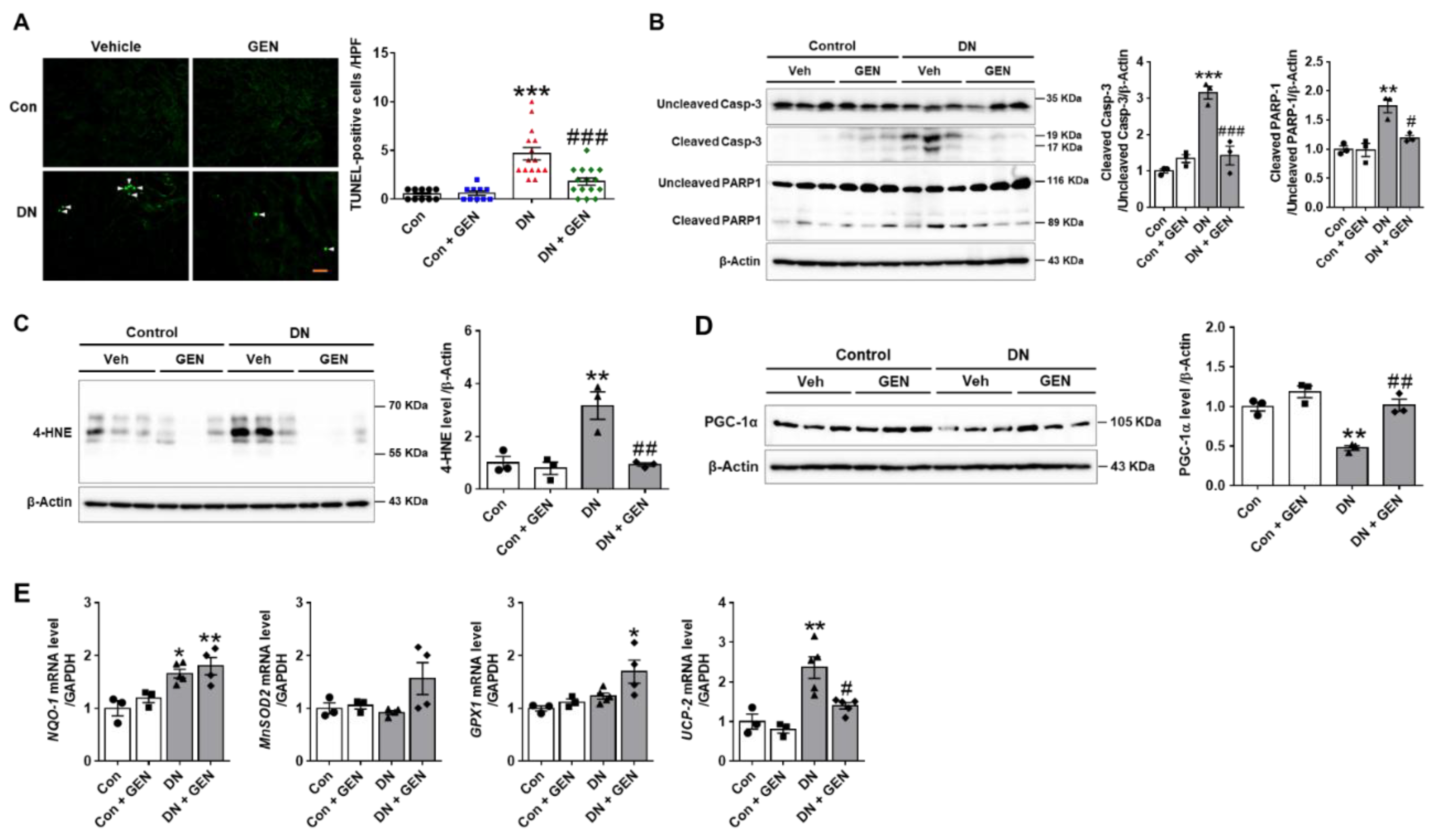 Ijms 22 01651 g003 Ijms 22 01651 g003