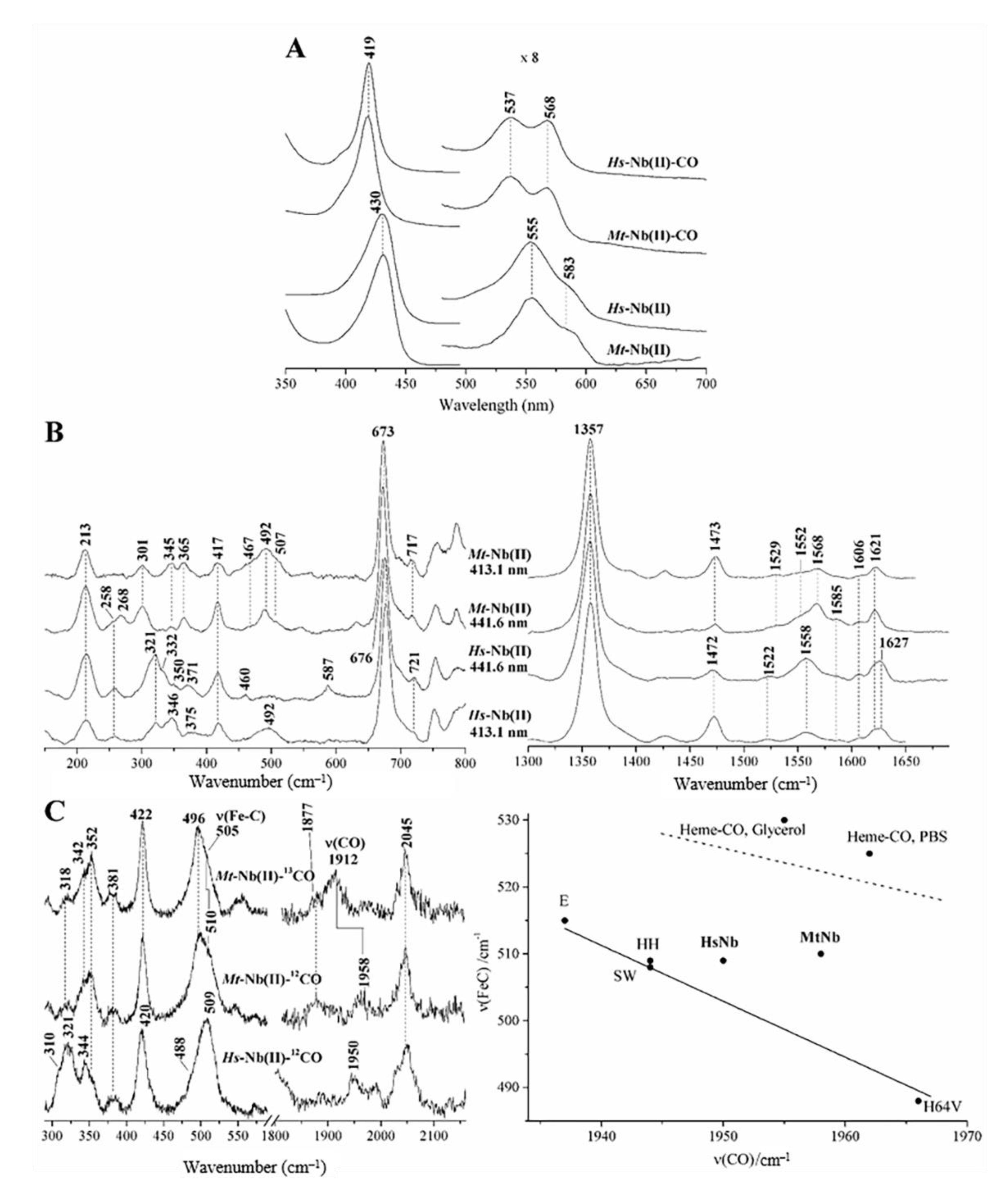 Ijms 22 01674 g001 Ijms 22 01674 g001