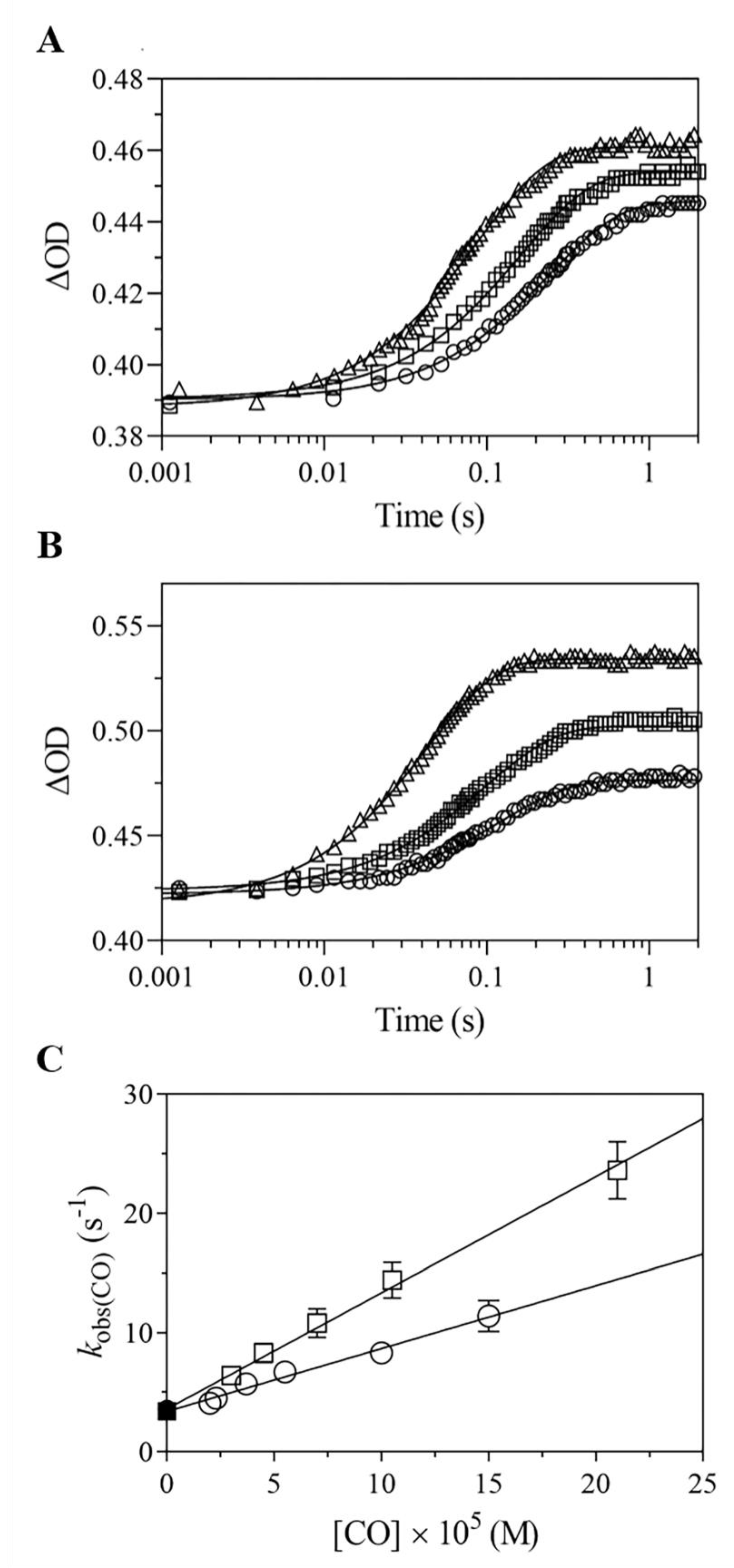 Ijms 22 01674 g003 Ijms 22 01674 g003