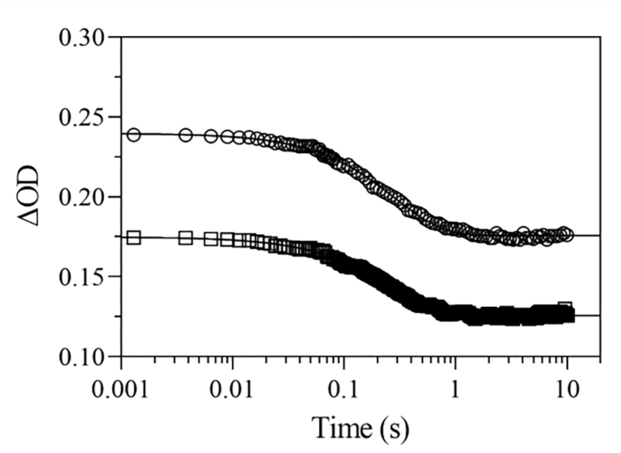 Ijms 22 01674 g004 Ijms 22 01674 g004