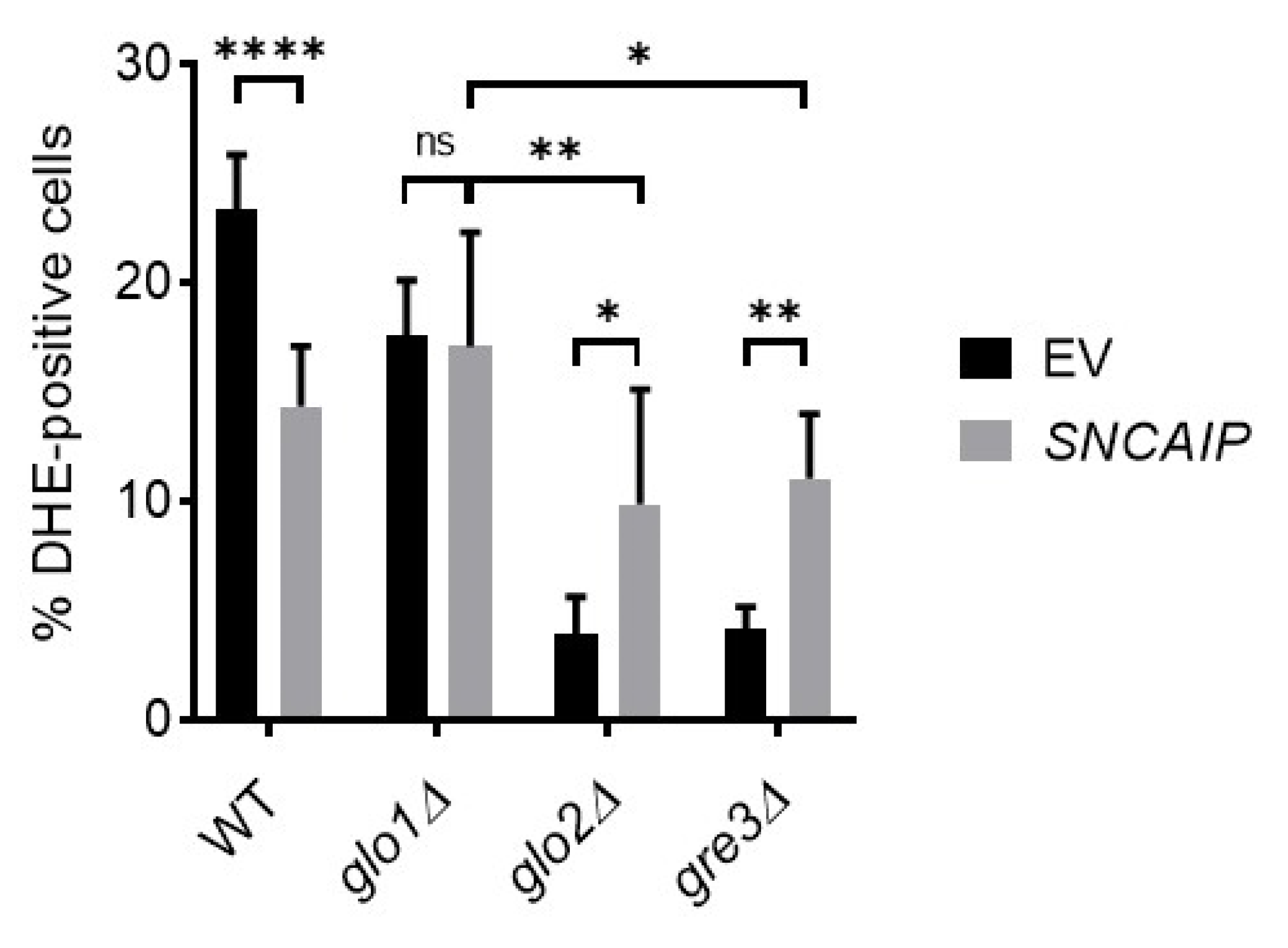 Ijms 22 01677 g007 Ijms 22 01677 g007