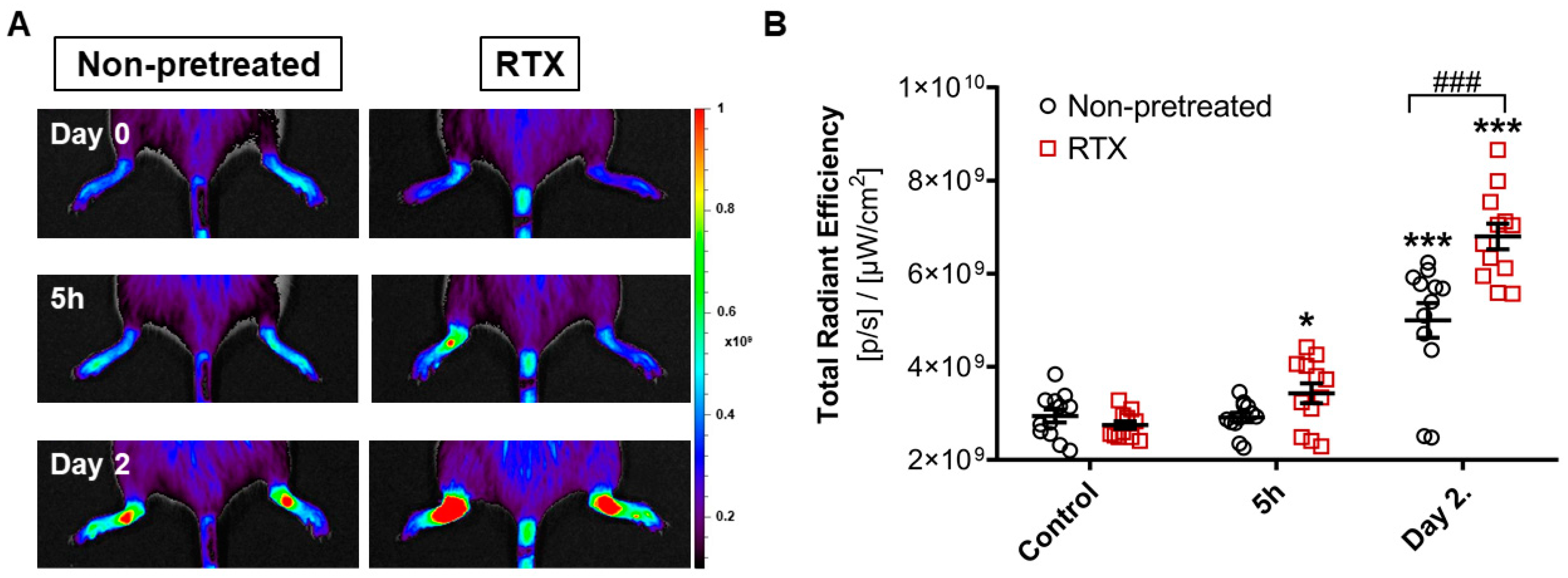 Ijms 22 01682 g003 Ijms 22 01682 g003