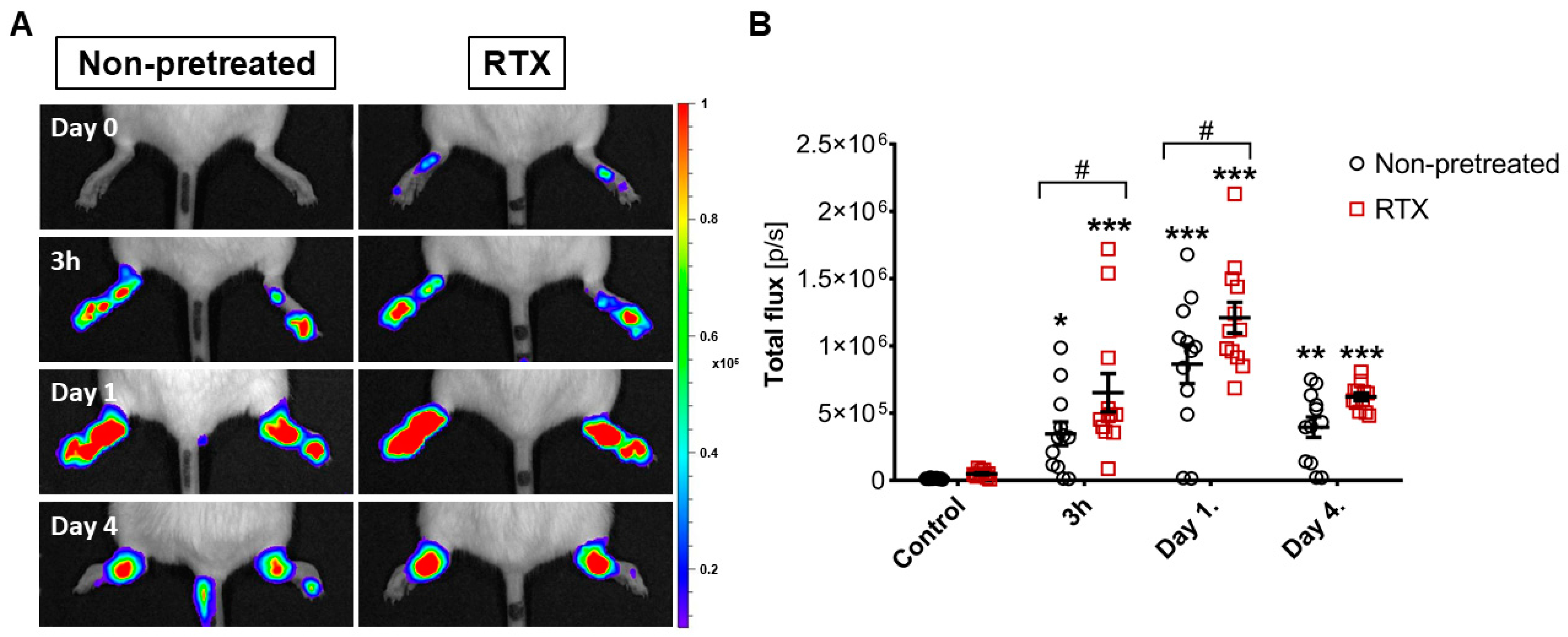 Ijms 22 01682 g004 Ijms 22 01682 g004