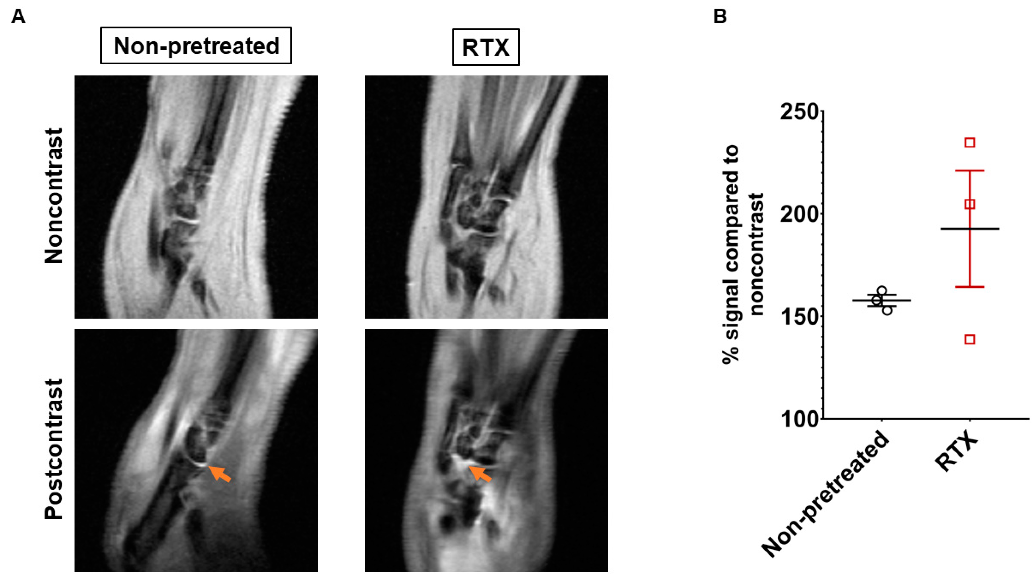 Ijms 22 01682 g007 Ijms 22 01682 g007