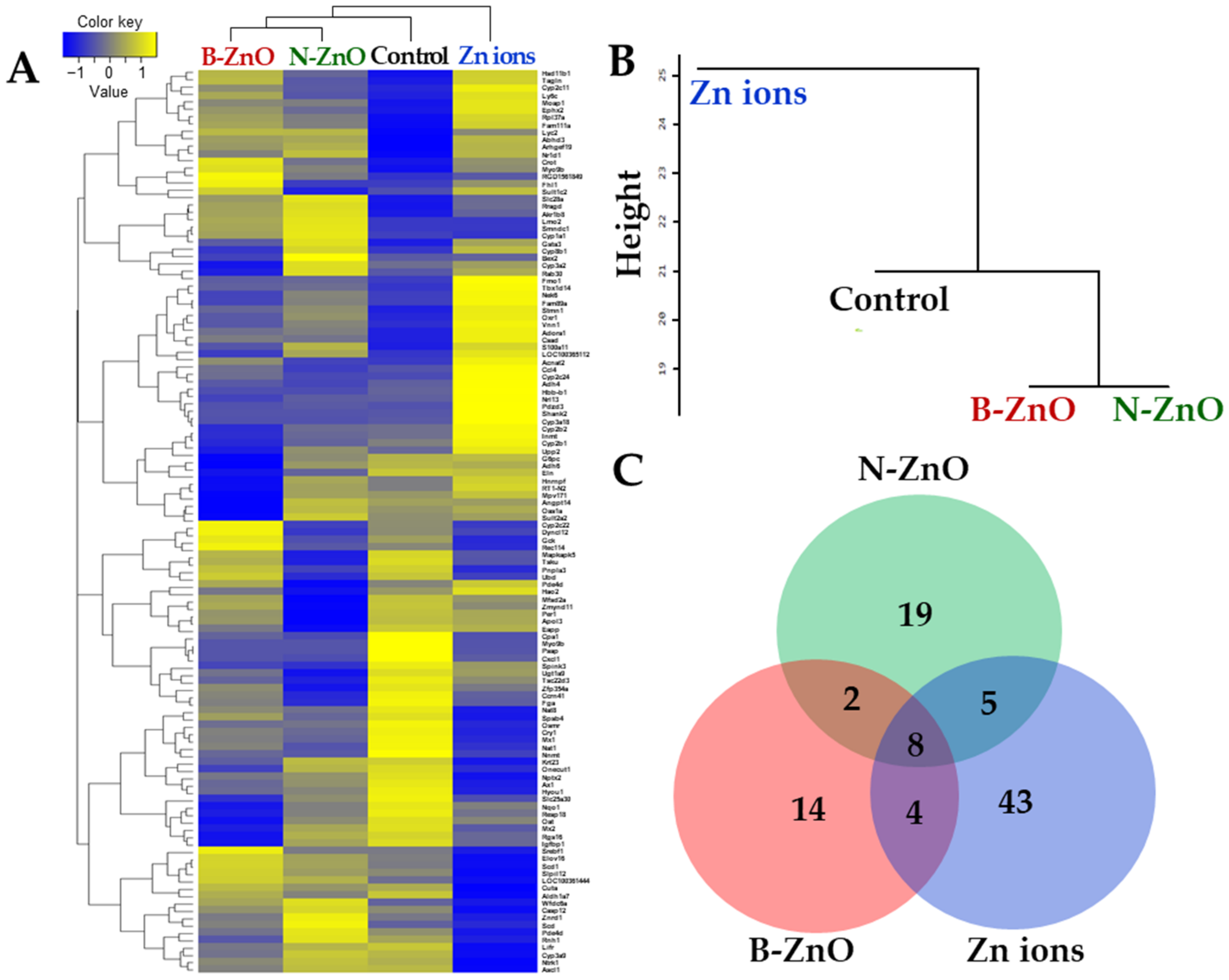 Ijms 22 01698 g005 Ijms 22 01698 g005