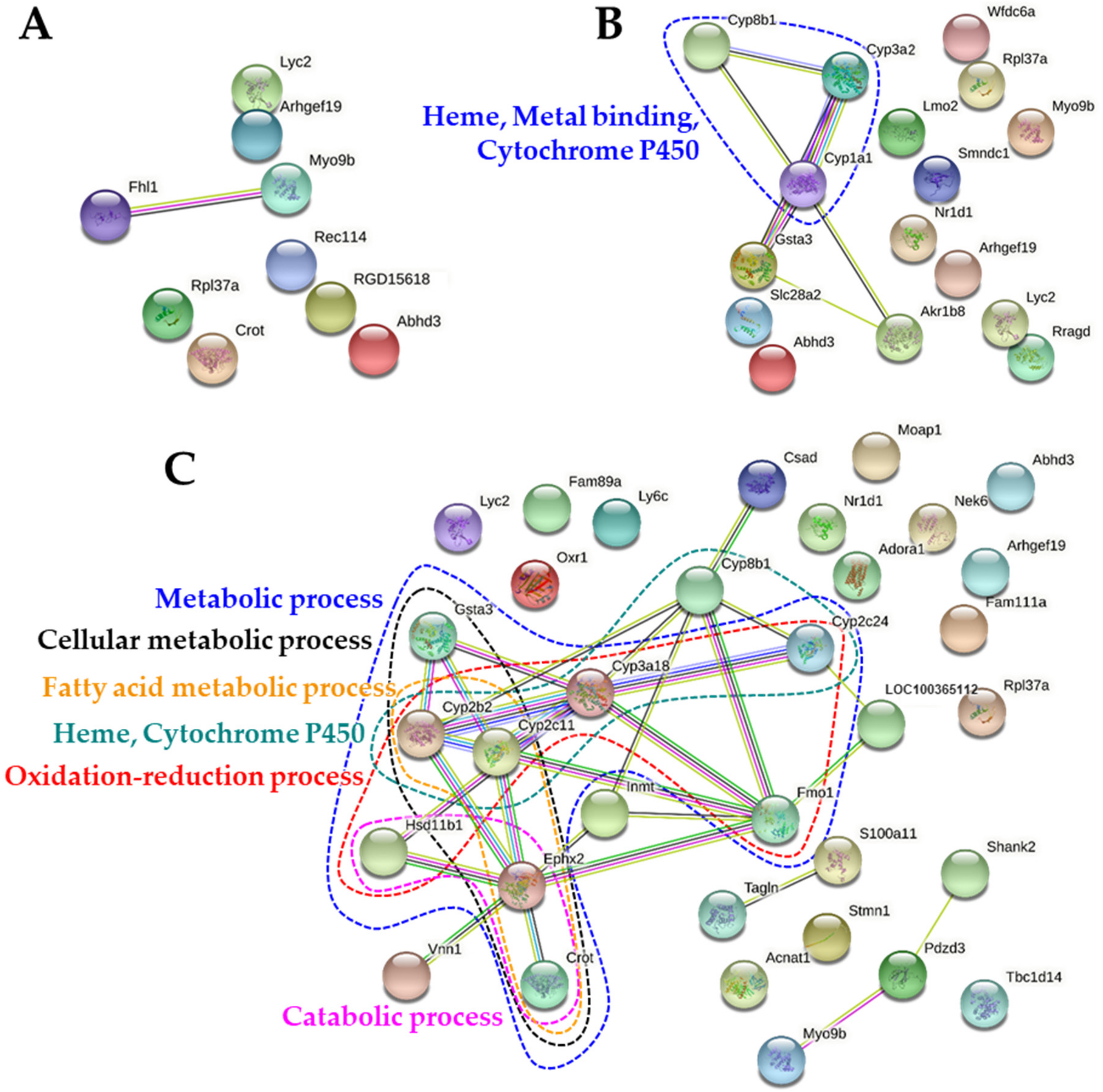 Ijms 22 01698 g007 Ijms 22 01698 g007