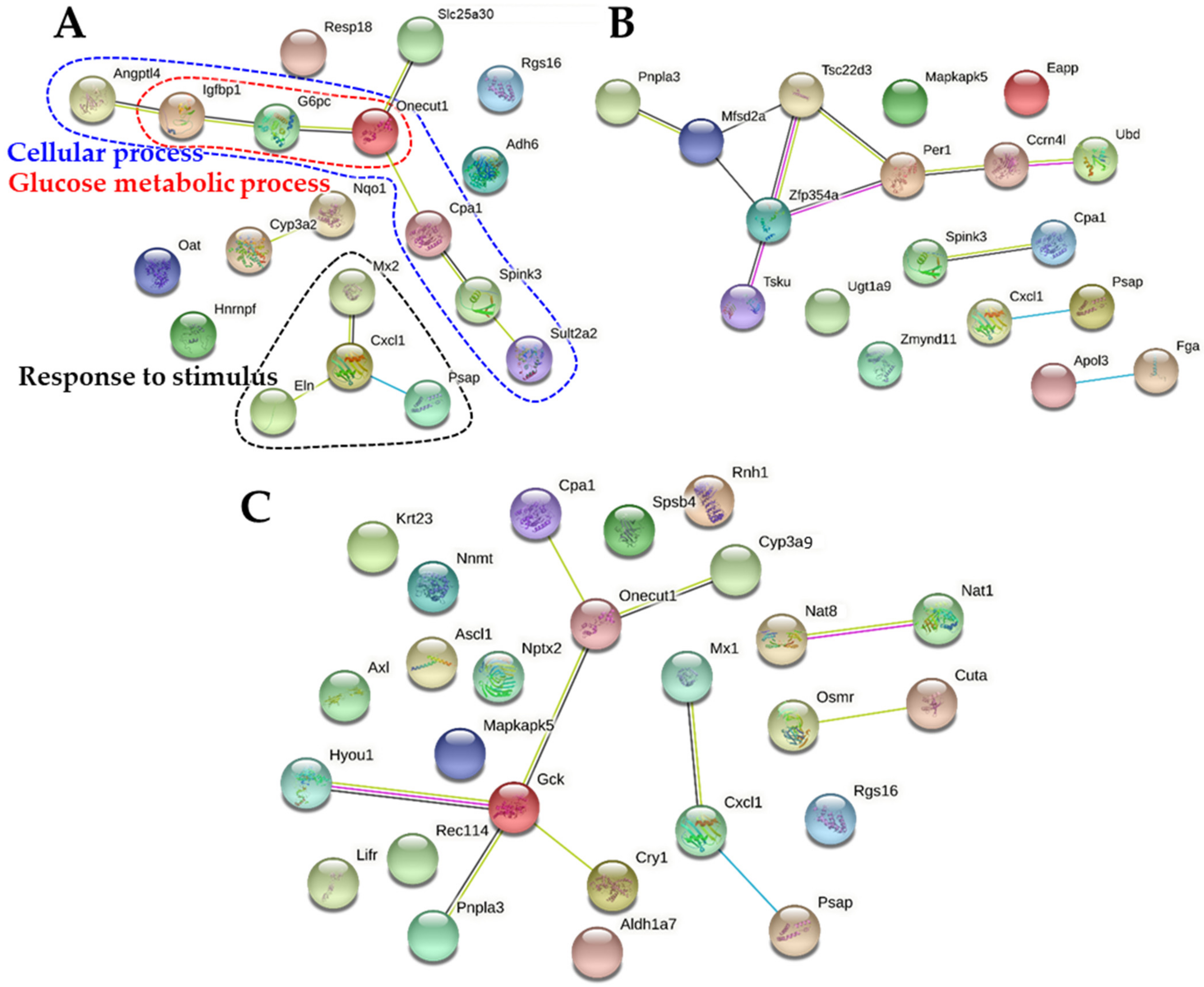 Ijms 22 01698 g008 Ijms 22 01698 g008