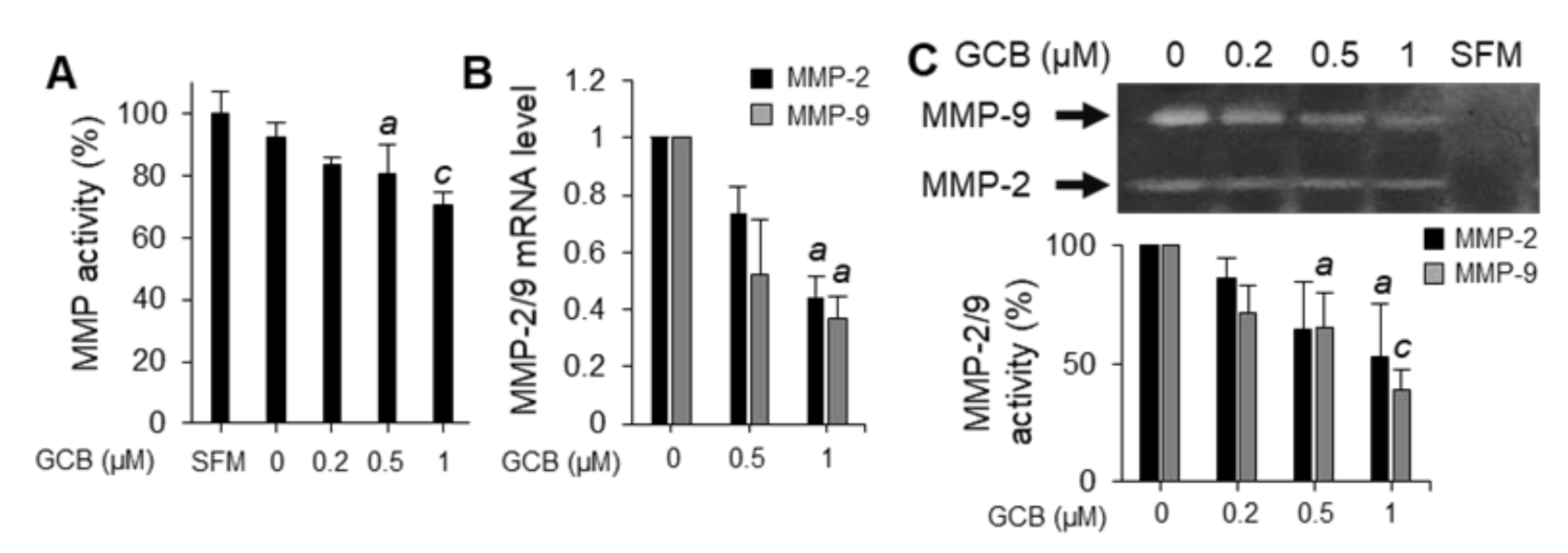 Ijms 22 01700 g003 Ijms 22 01700 g003