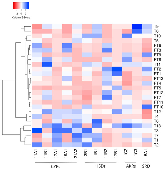 IJMS | Free Full-Text | Revisiting Steroidogenic Pathways in the Human ...