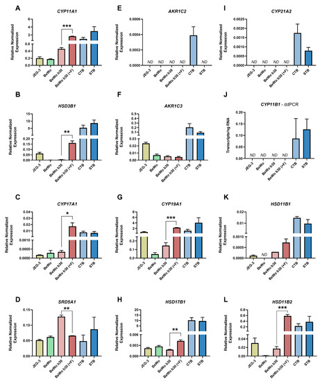 Revisiting Steroidogenic Pathways in the Human Placenta and Primary ...