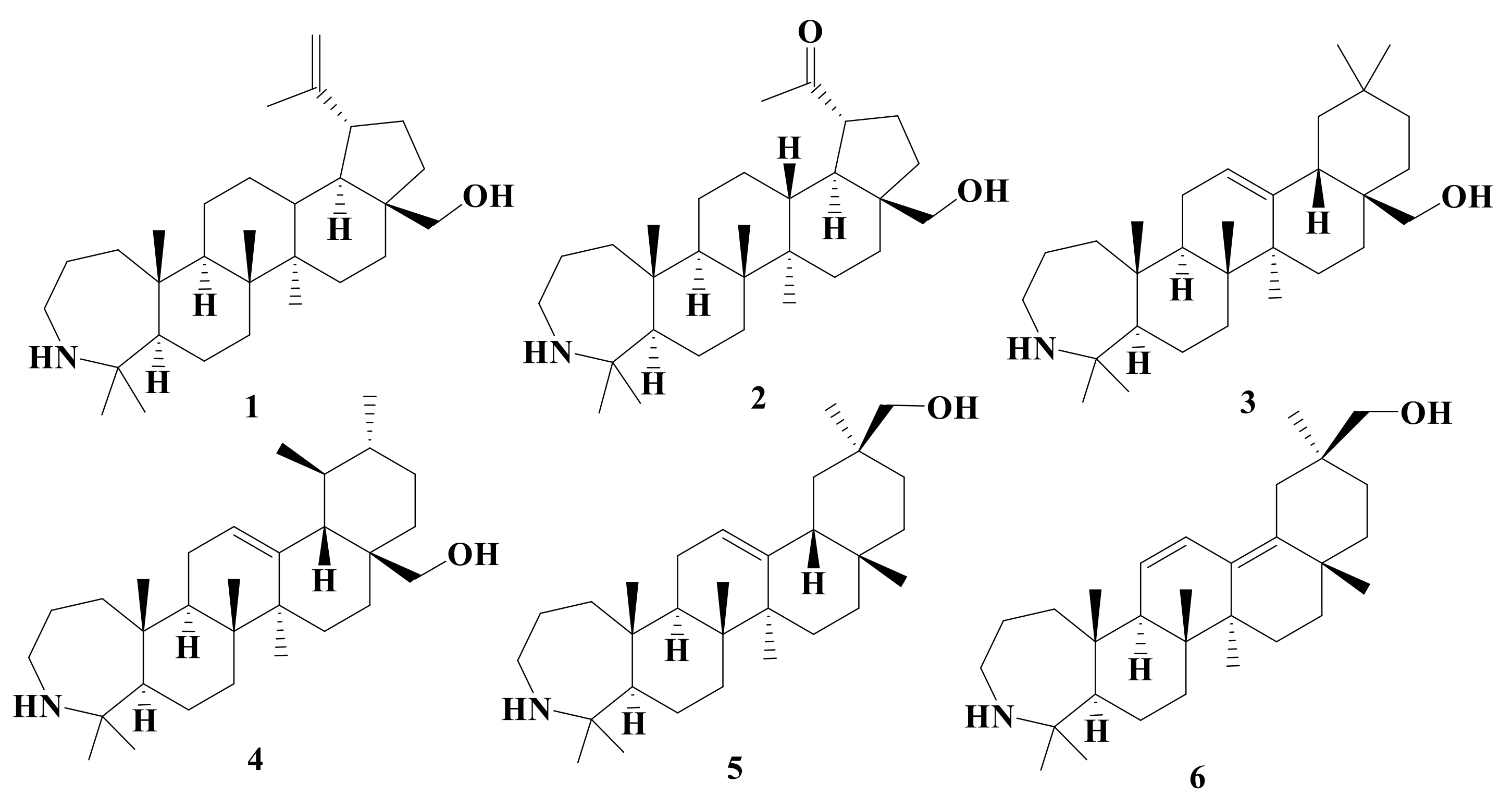 Ijms 22 01714 g001 Ijms 22 01714 g001