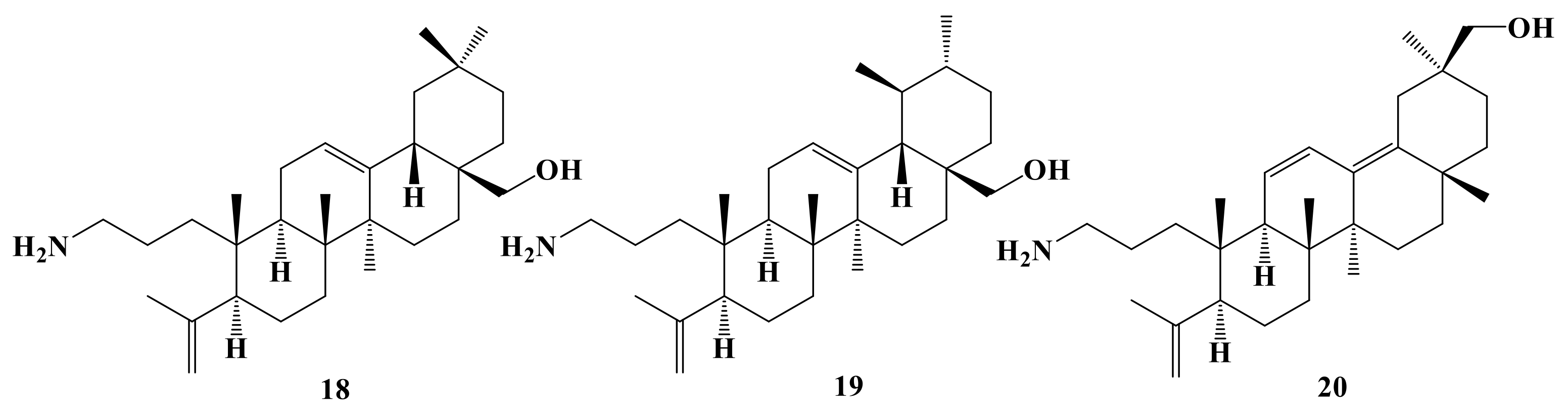 Ijms 22 01714 g004 Ijms 22 01714 g004