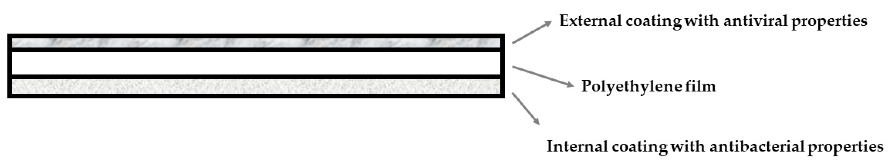 Ijms 22 01717 g008 Ijms 22 01717 g008