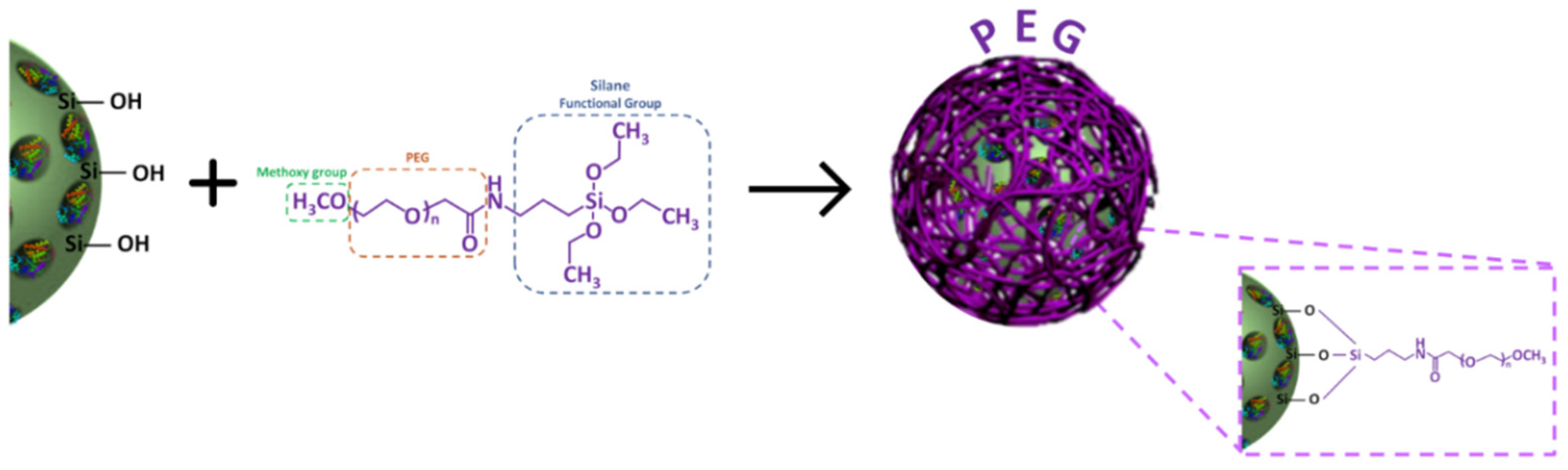 Ijms 22 01718 g001 Ijms 22 01718 g001