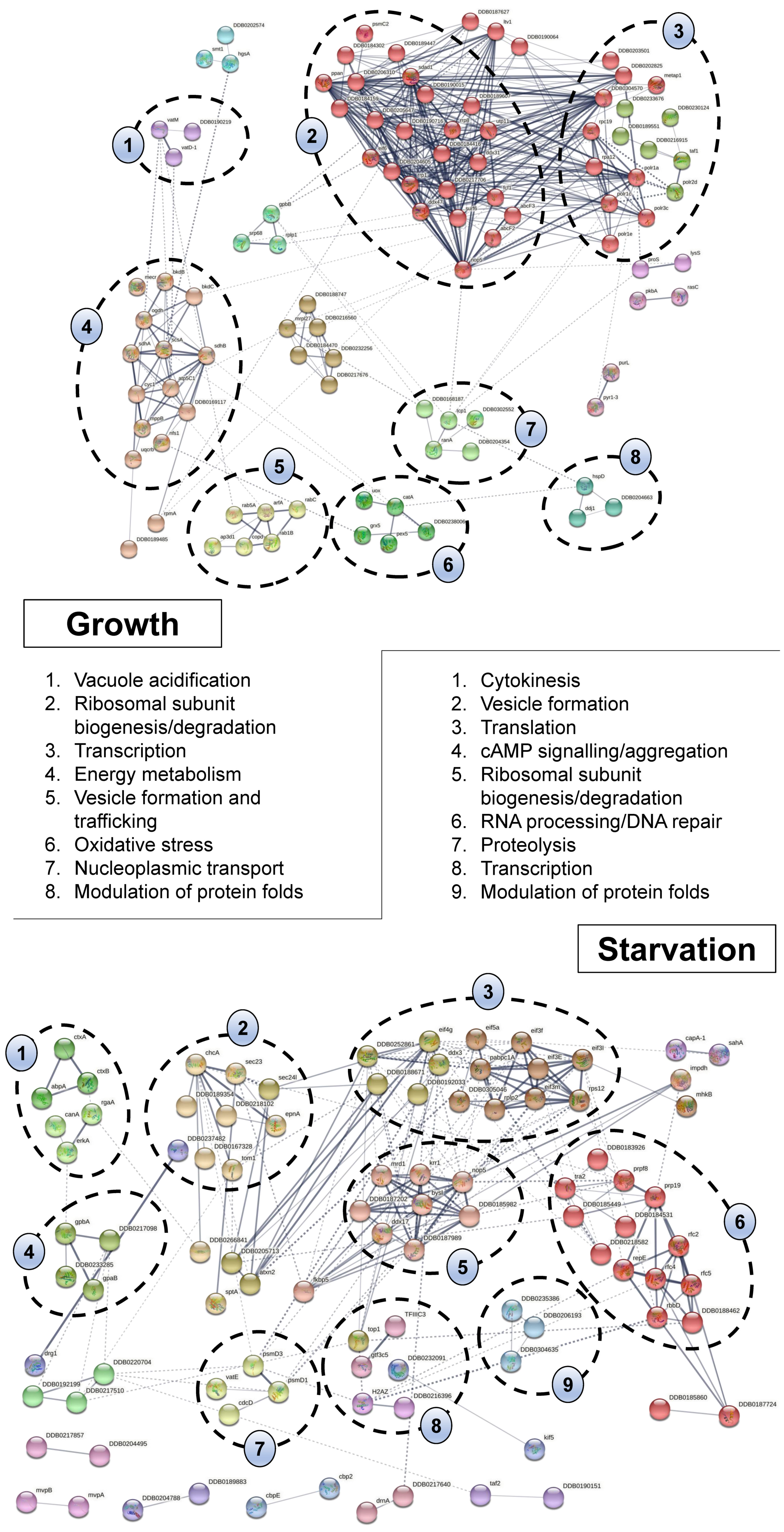 Ijms 22 01722 g003 Ijms 22 01722 g003