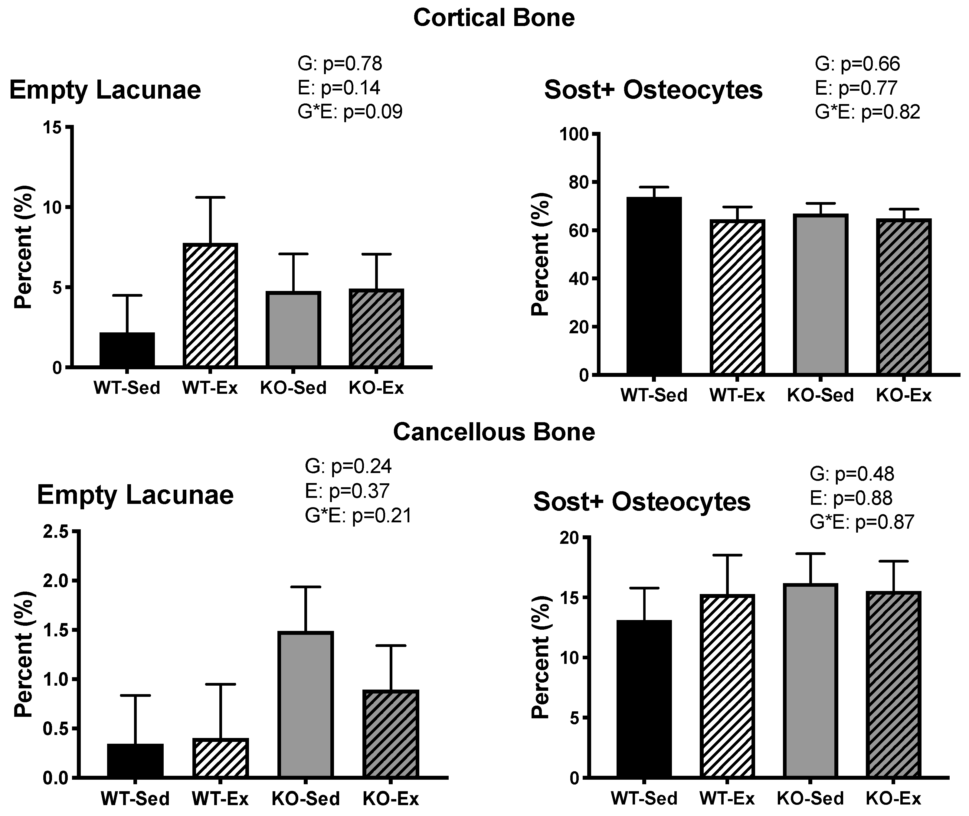 Ijms 22 01734 g004 Ijms 22 01734 g004
