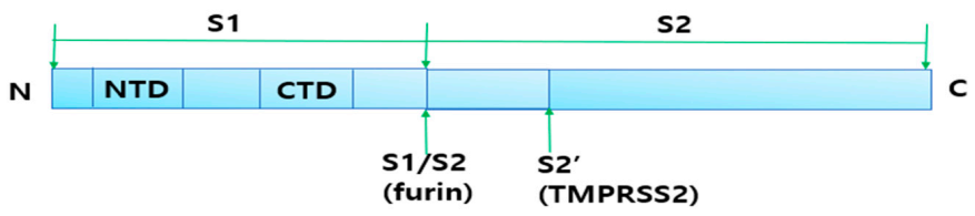 Ijms 22 01737 g002