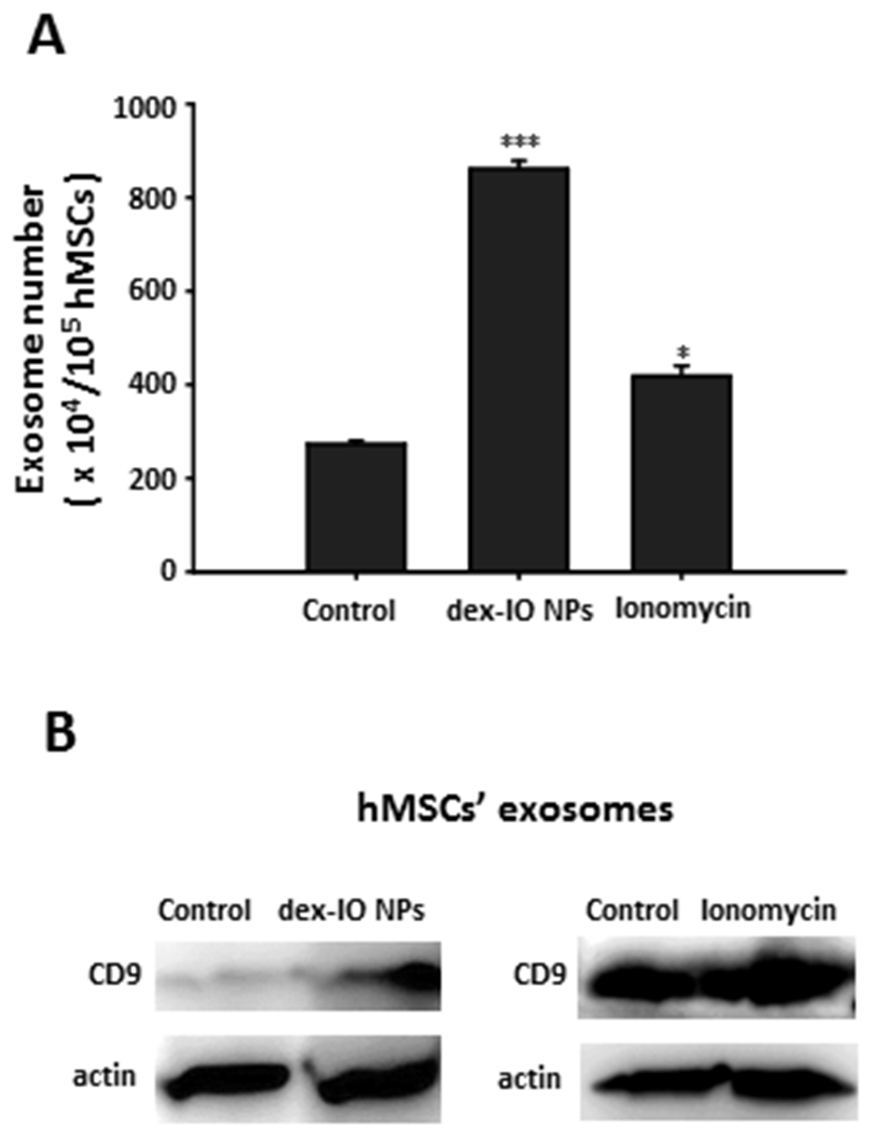 Ijms 22 01738 g001 Ijms 22 01738 g001