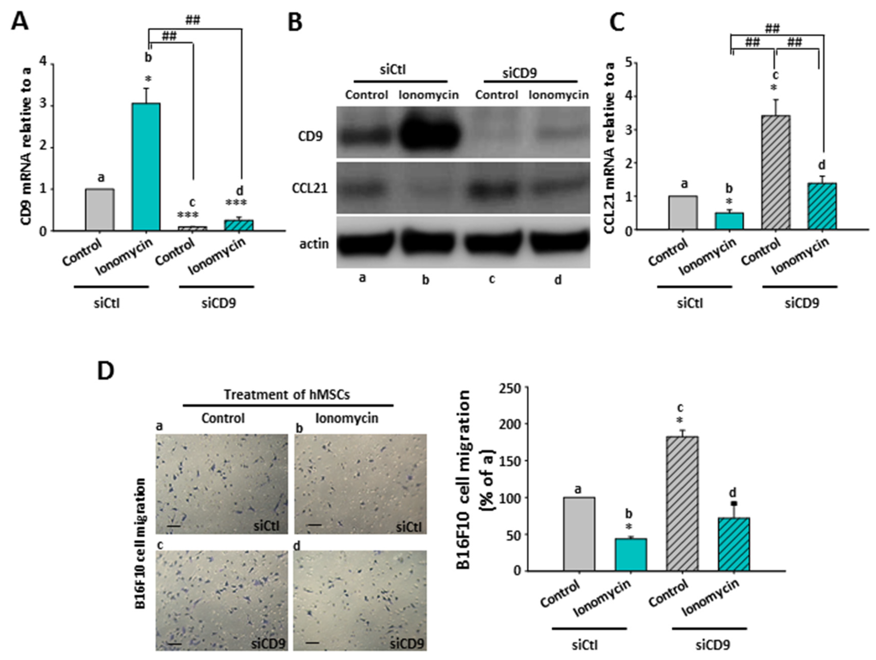 Ijms 22 01738 g007 Ijms 22 01738 g007