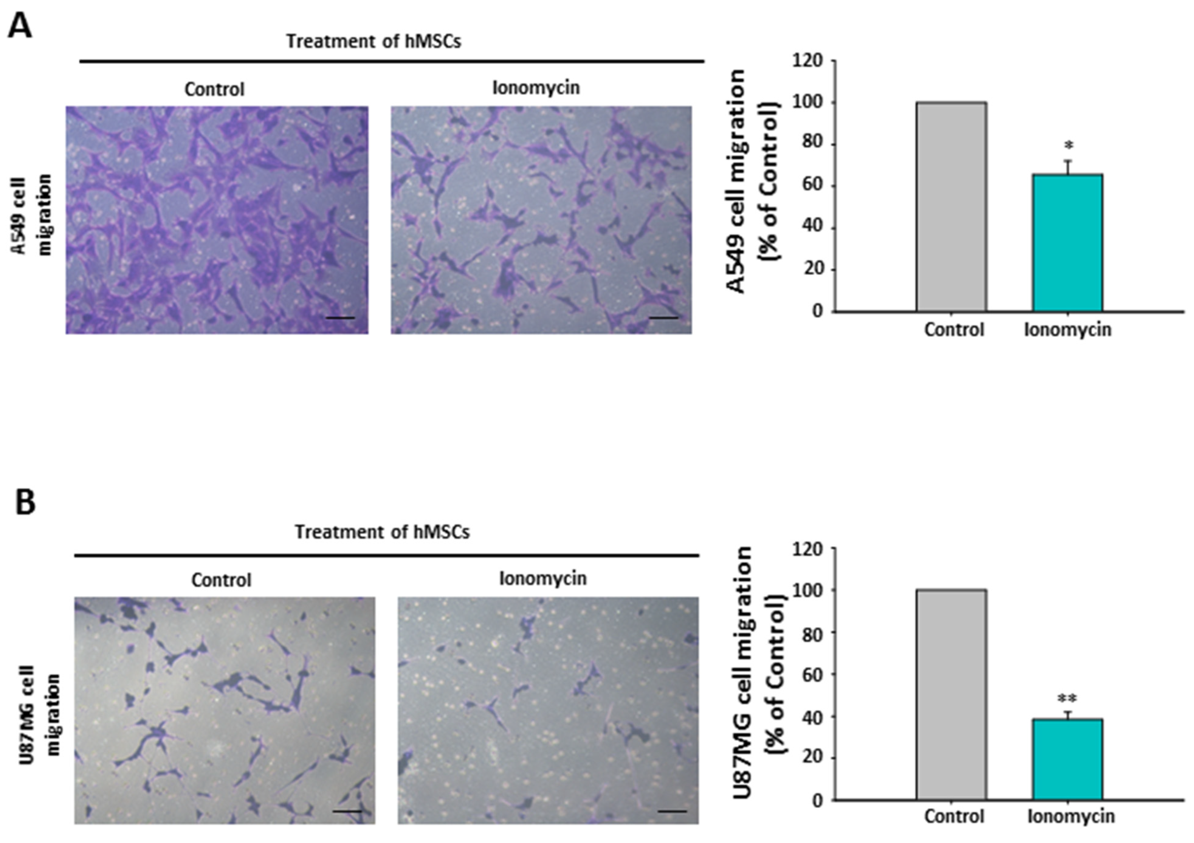 Ijms 22 01738 g008 Ijms 22 01738 g008