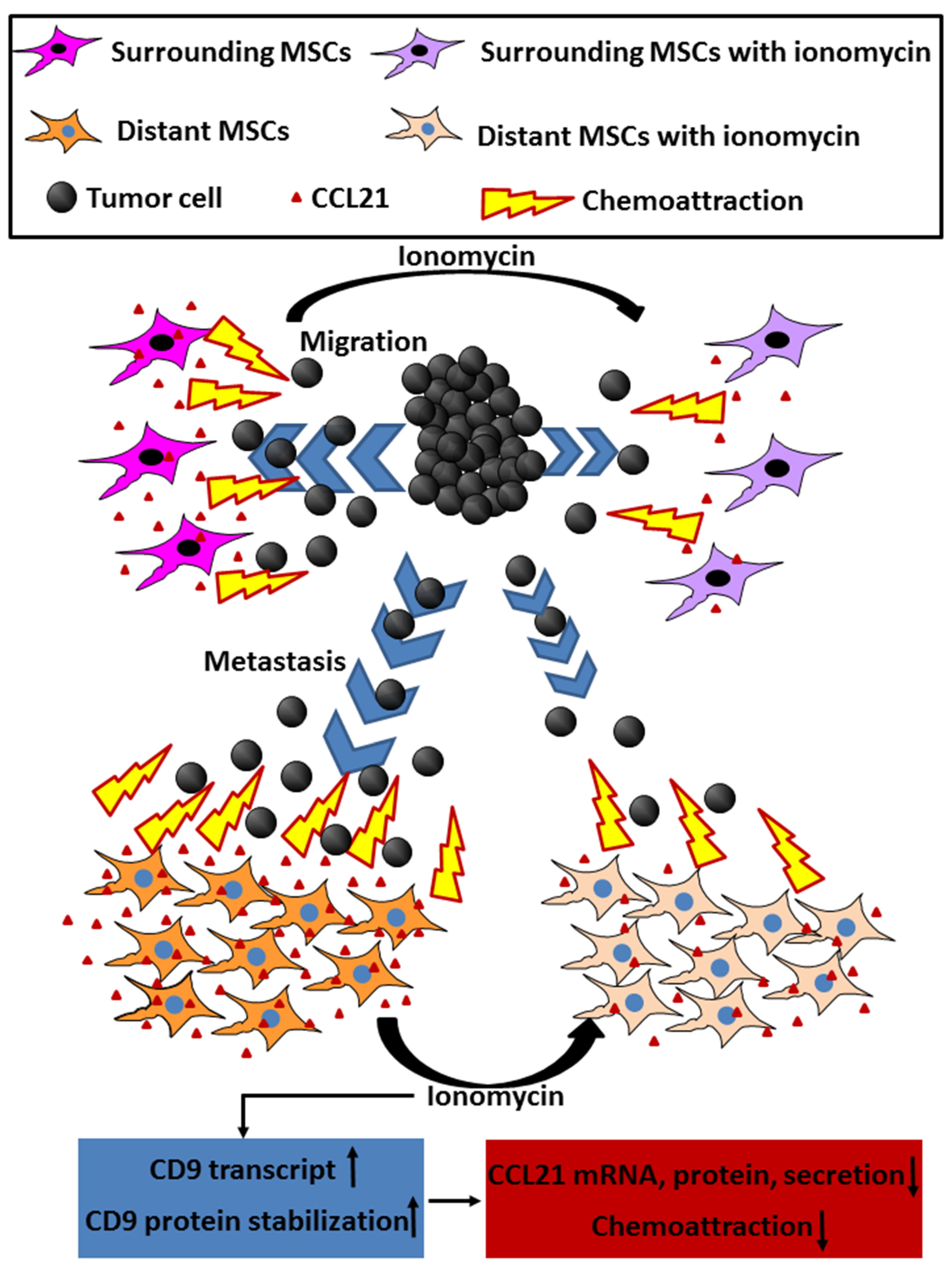 Ijms 22 01738 g009 Ijms 22 01738 g009