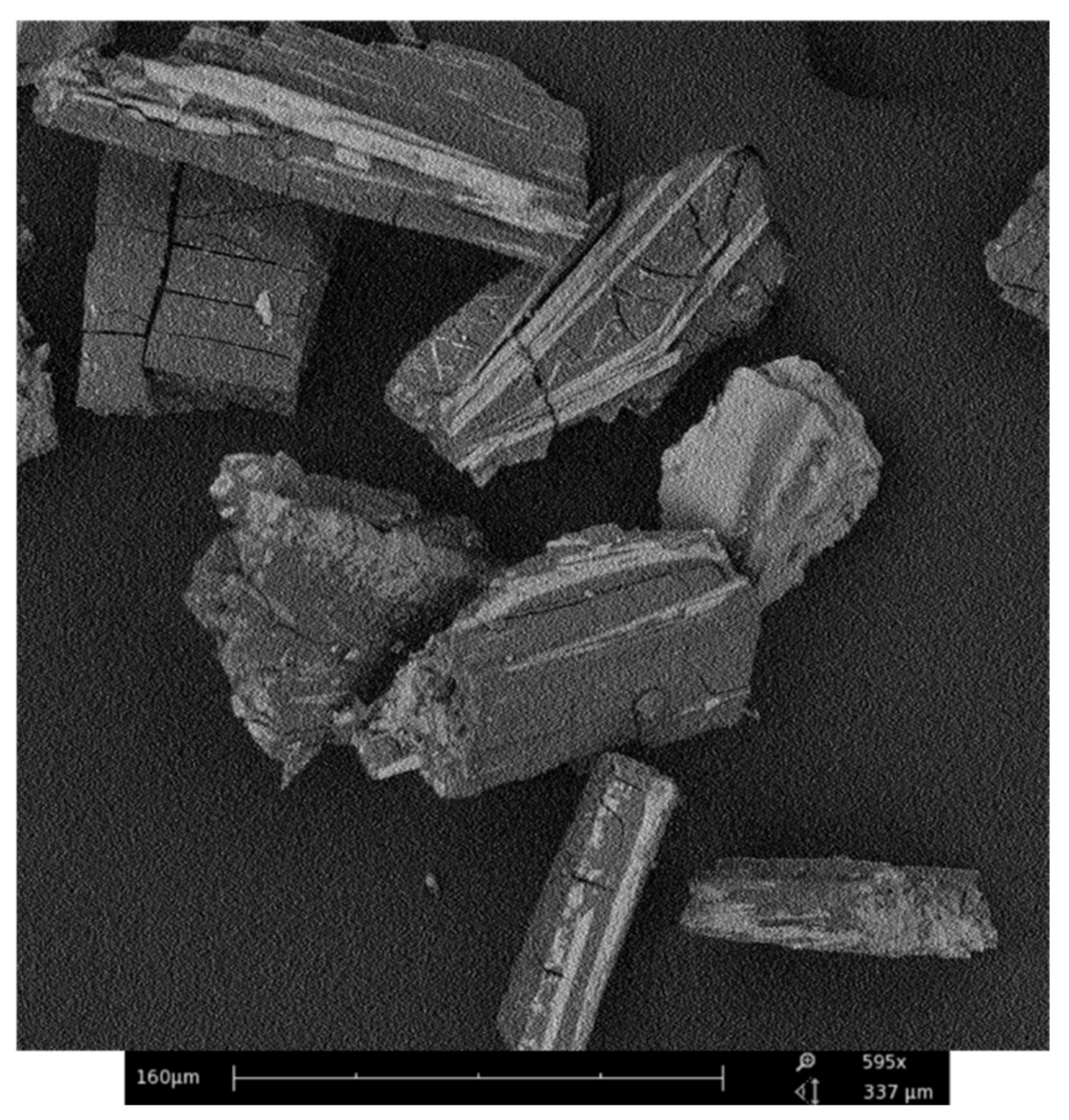 Ijms 22 01739 g008 Ijms 22 01739 g008