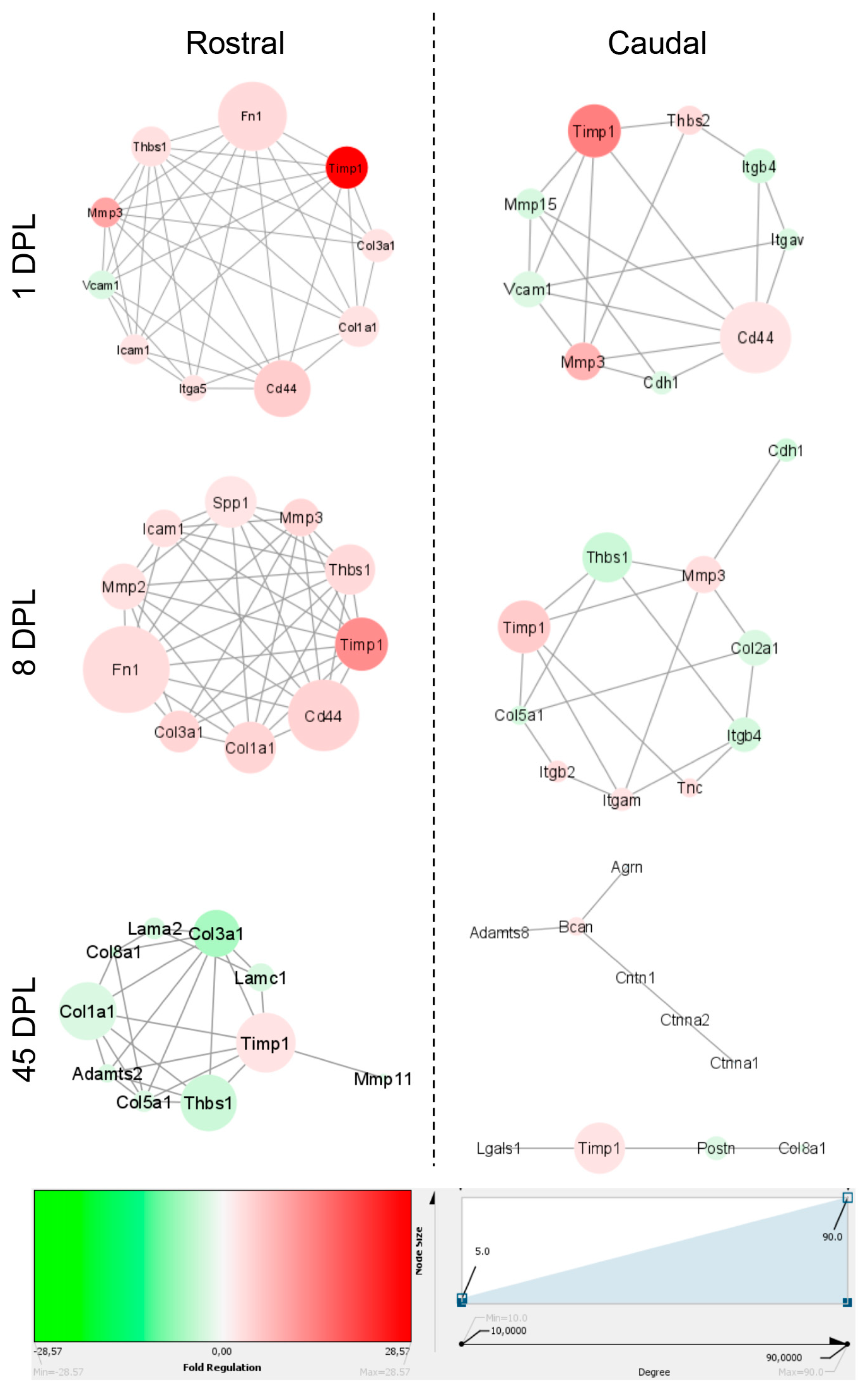 Ijms 22 01744 g005 Ijms 22 01744 g005