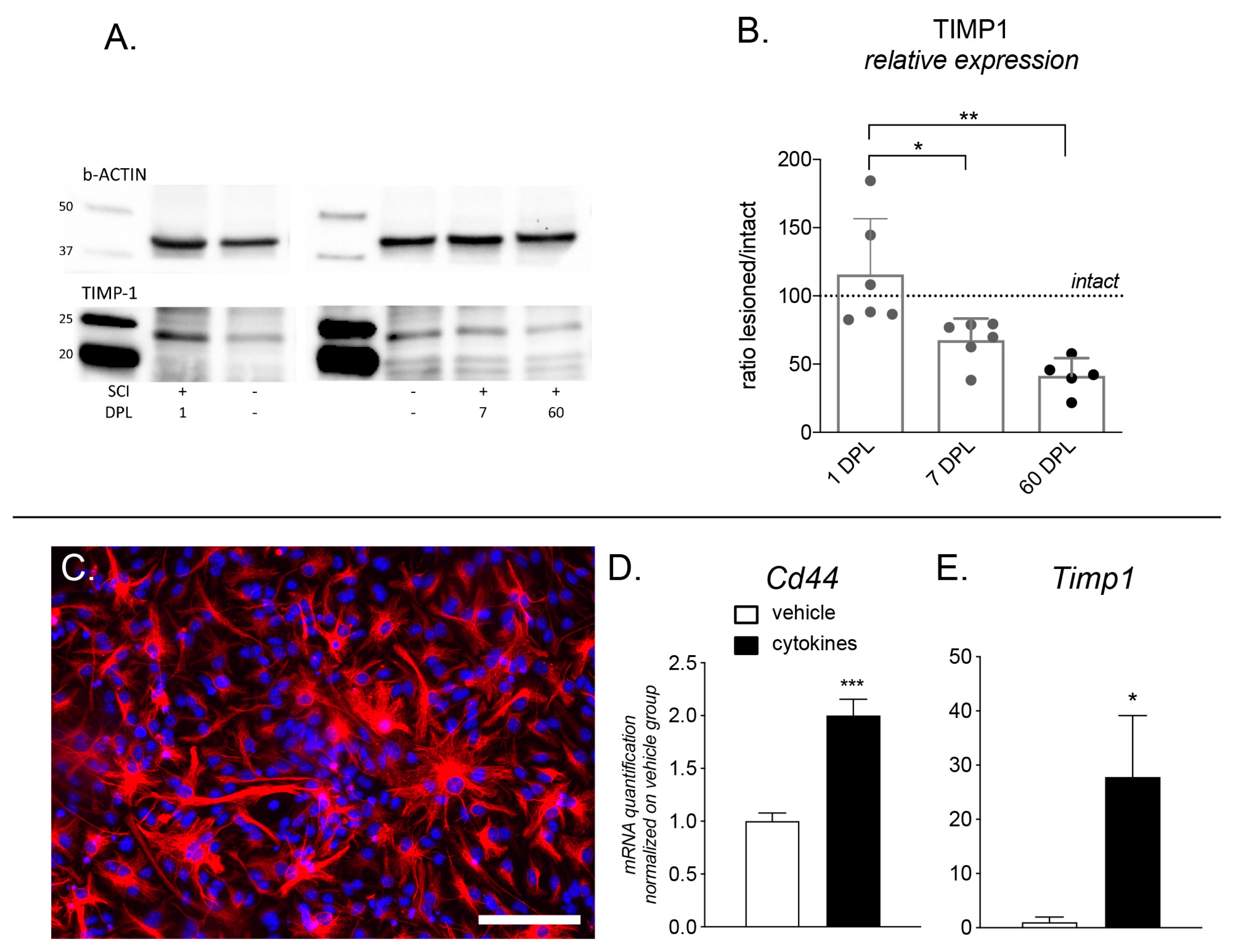 Ijms 22 01744 g006 Ijms 22 01744 g006