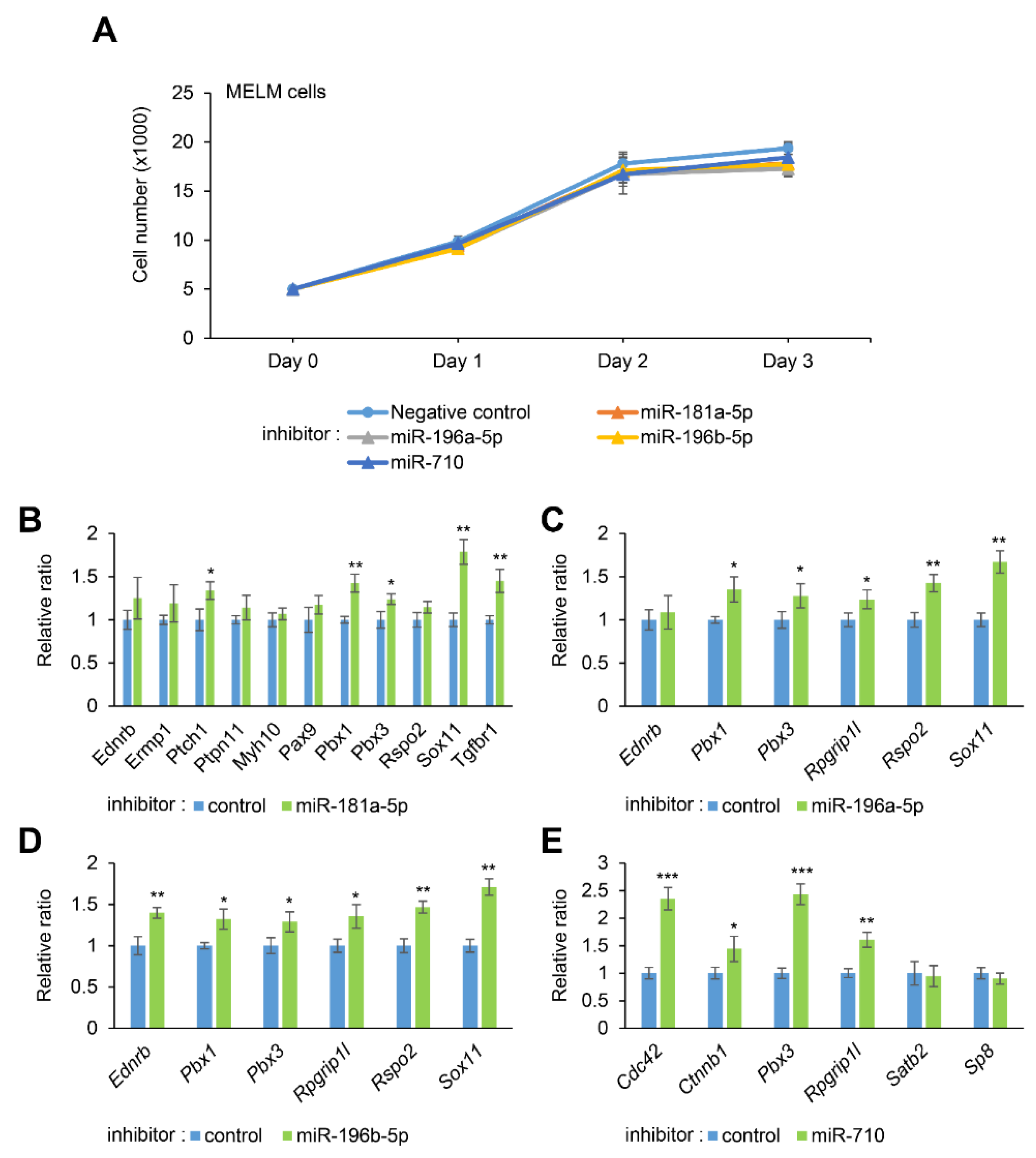 Ijms 22 01746 g002 Ijms 22 01746 g002