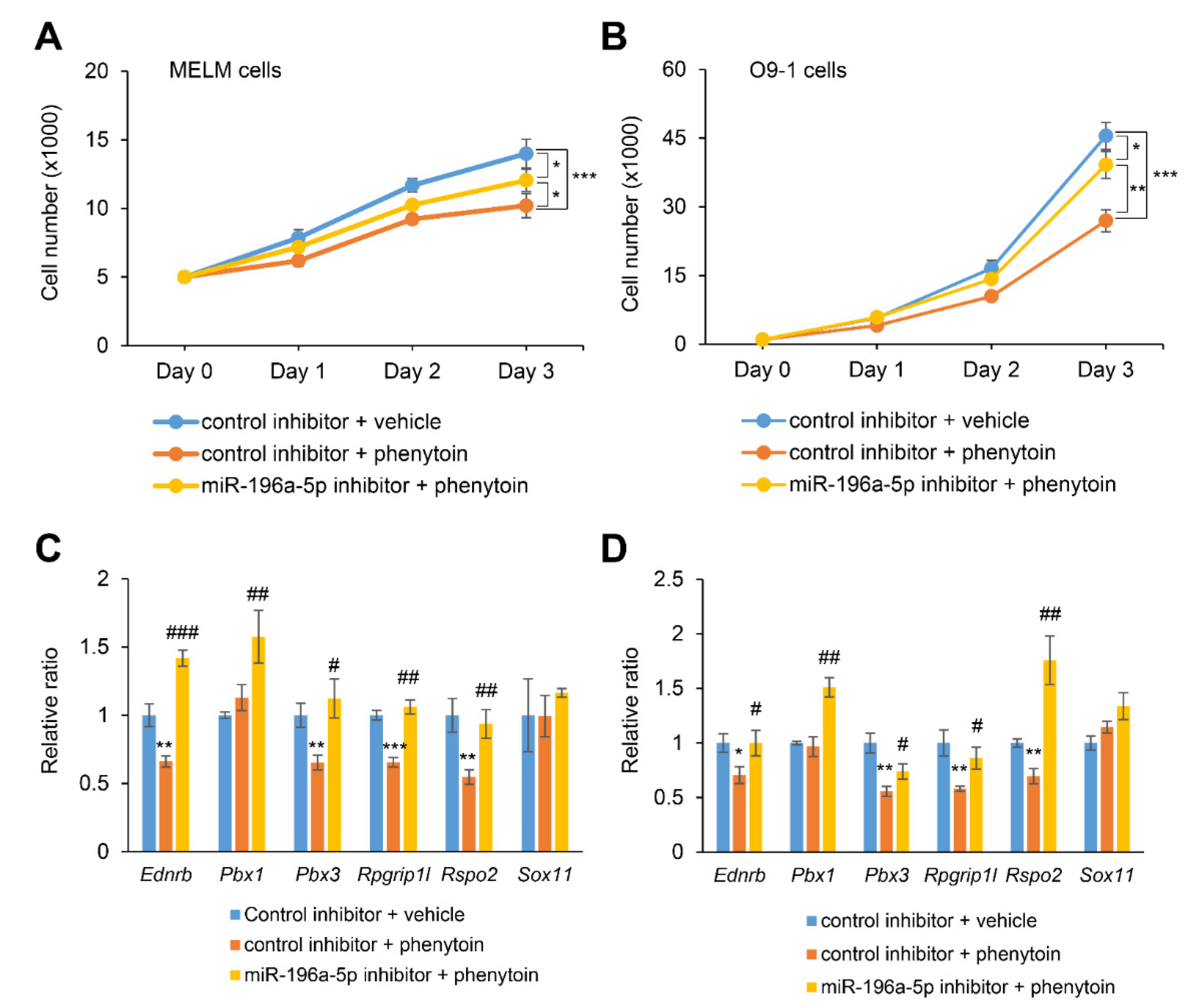 Ijms 22 01746 g004 Ijms 22 01746 g004