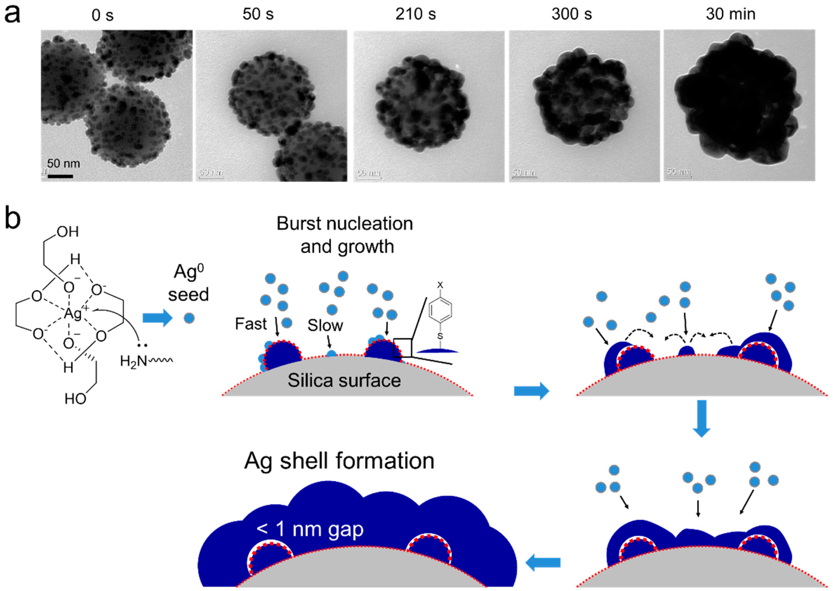 Ijms Free Full Text Template Assisted Plasmonic Nanogap Shells For Highly Enhanced Detection Of Cancer Biomarkers Html