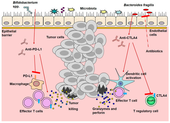 Ijms 22 01754 g001 550