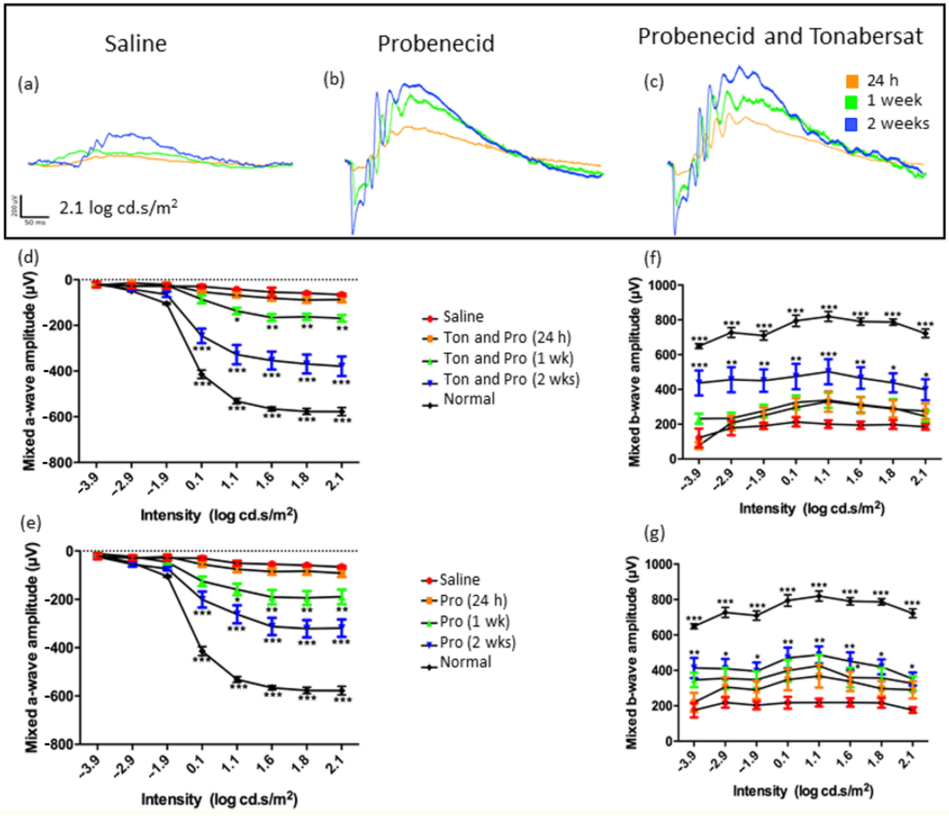 Ijms 22 01755 g001 Ijms 22 01755 g001