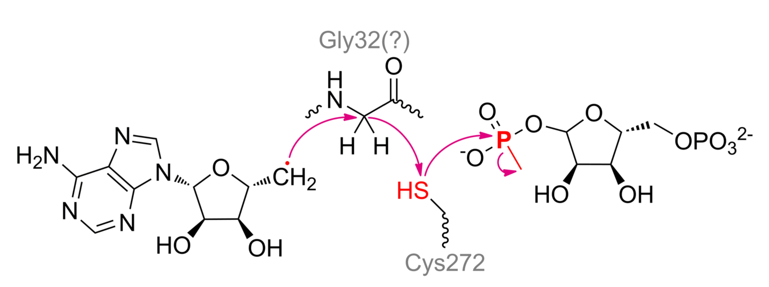 Ijms 22 01761 sch009